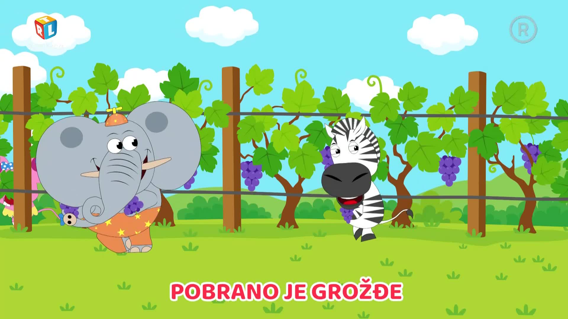 RTLKockica