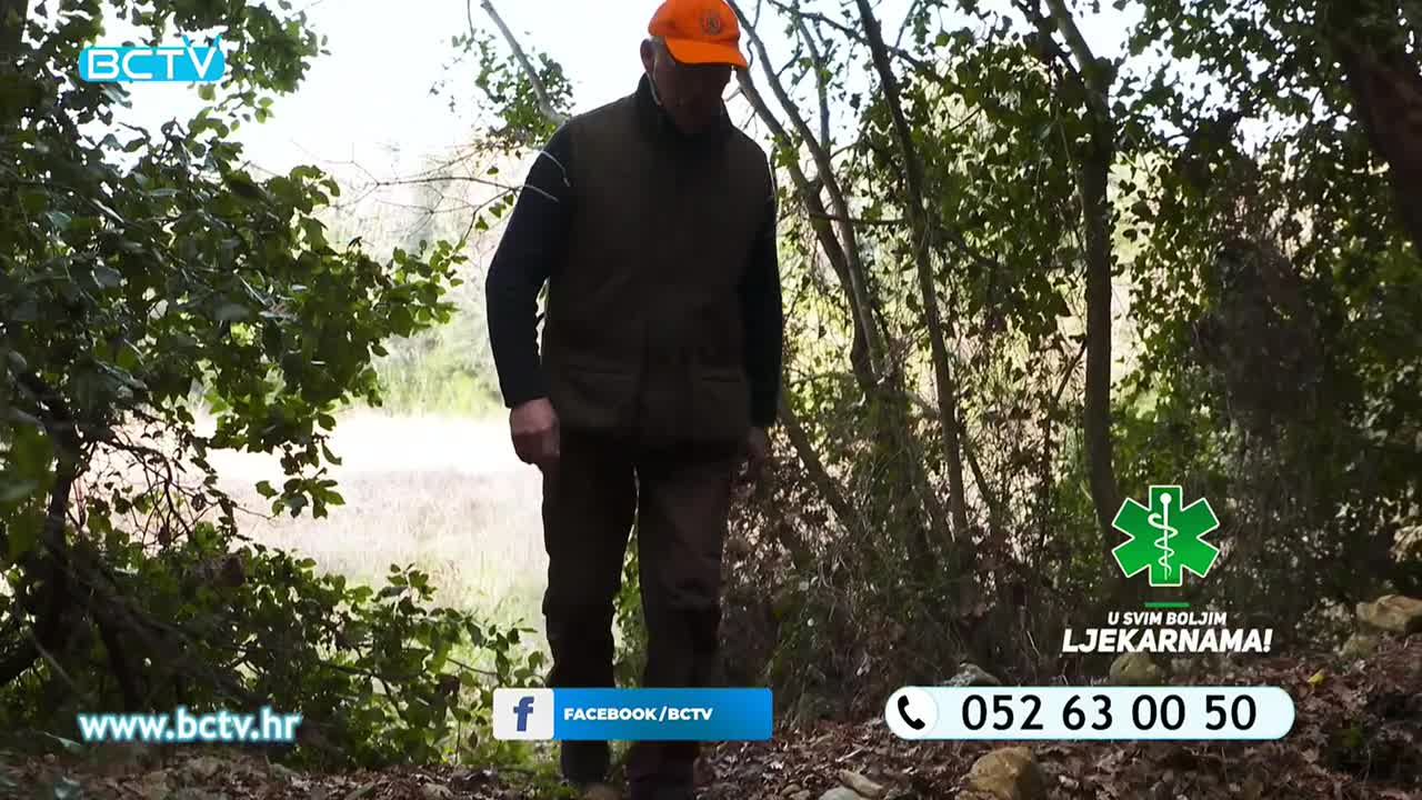 DomaTV