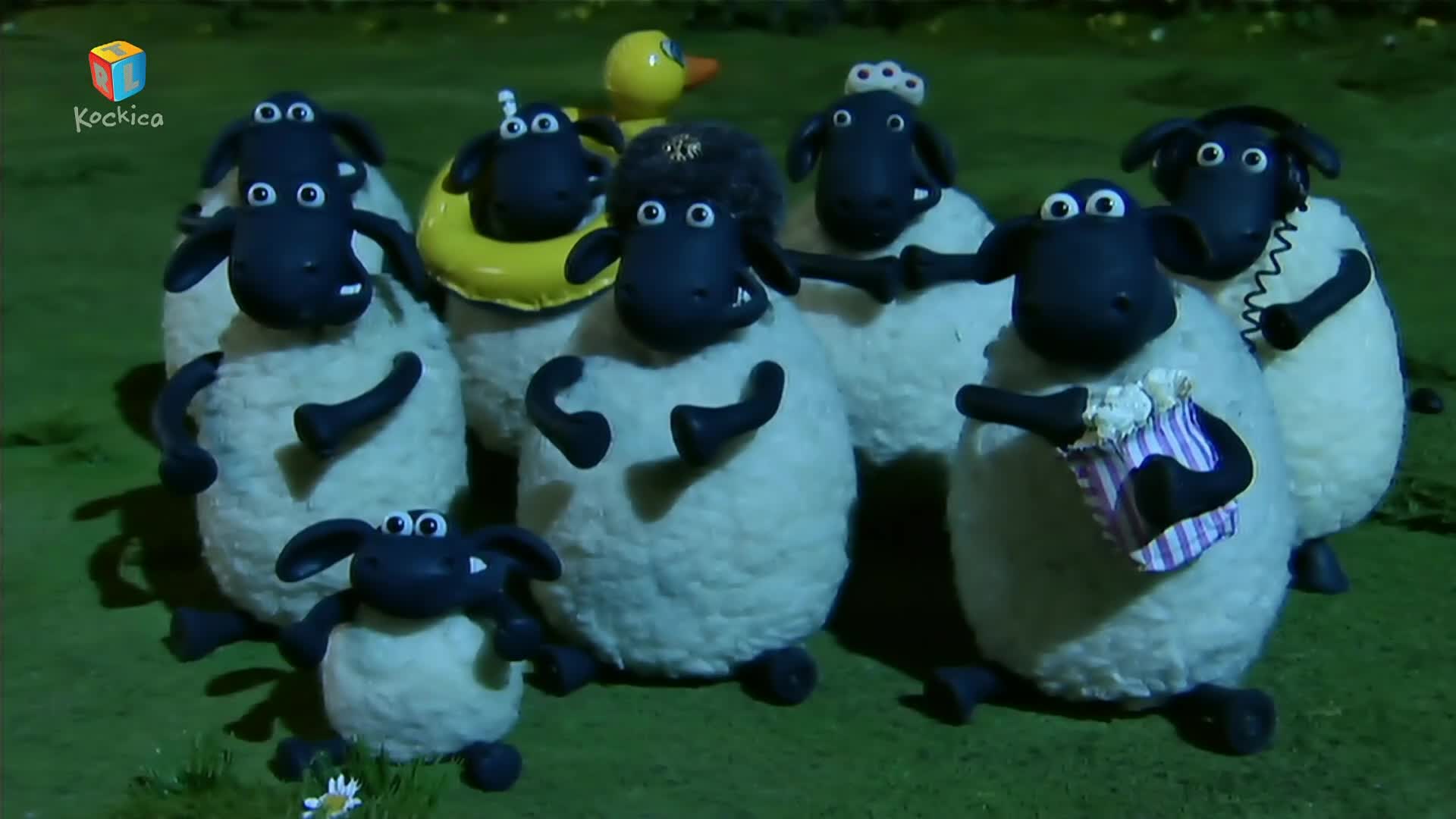 RTLKockica