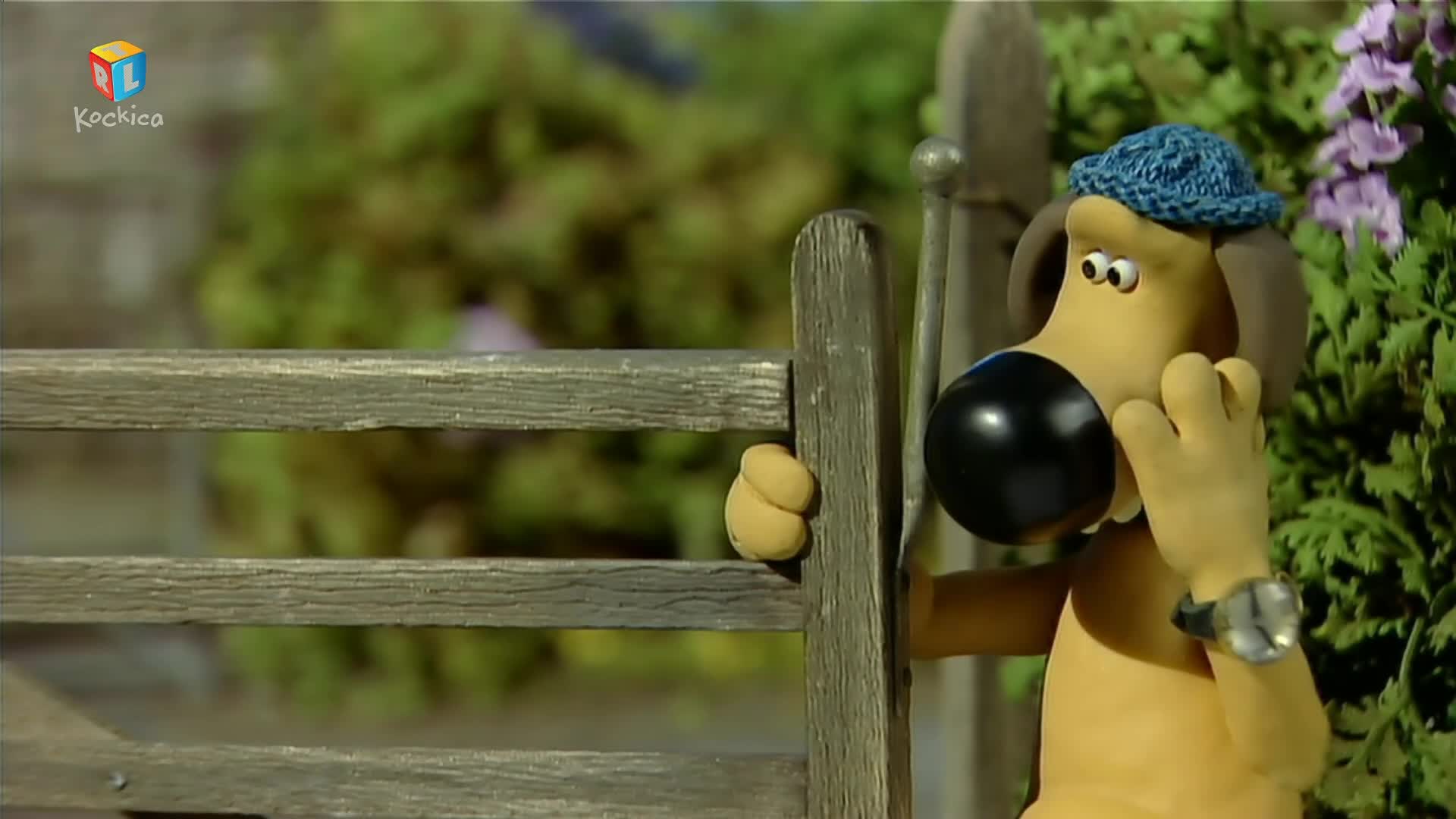 RTLKockica