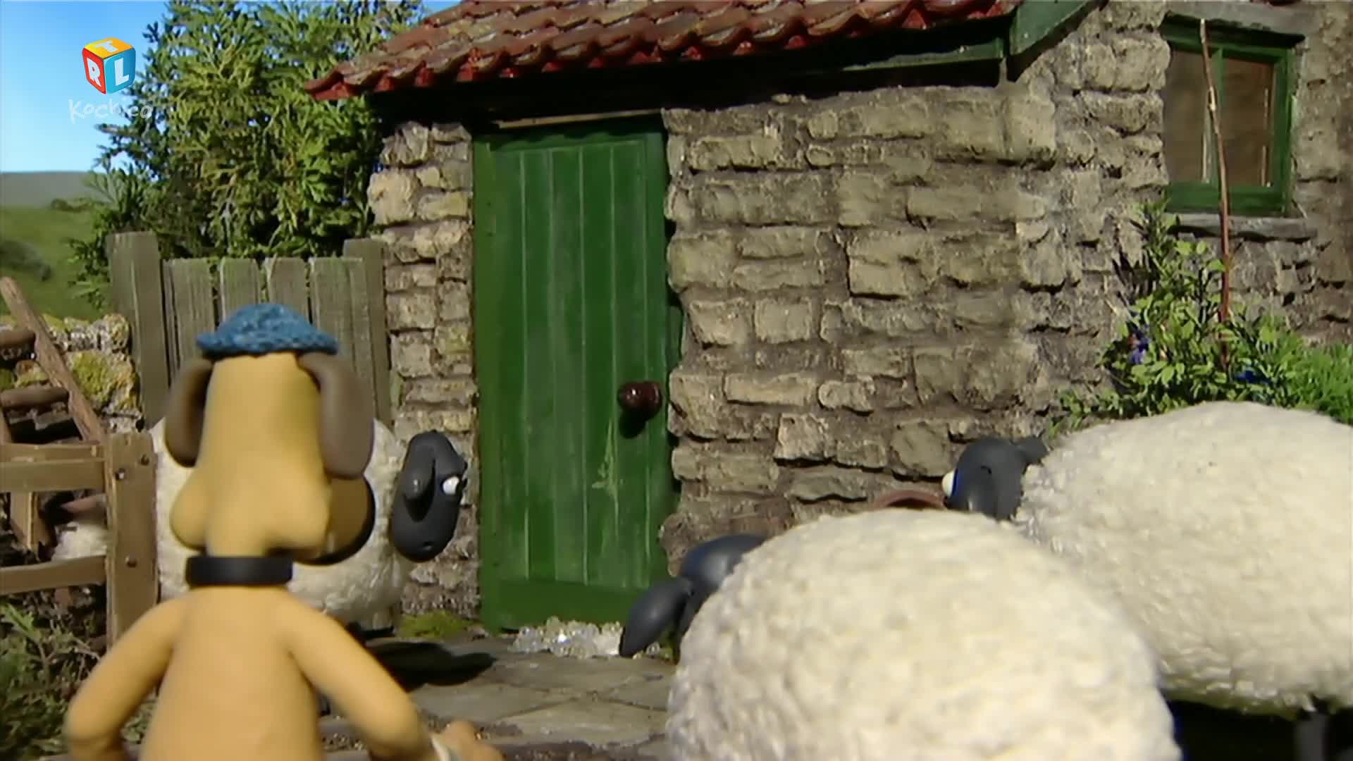 RTLKockica