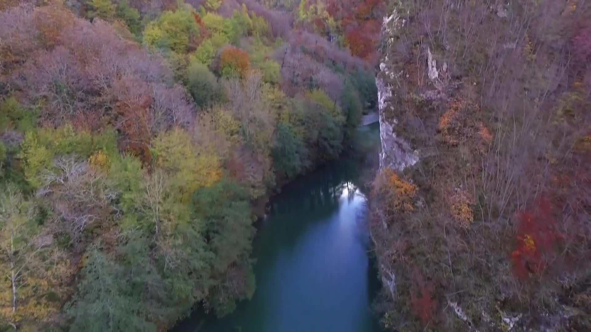 DokuTV