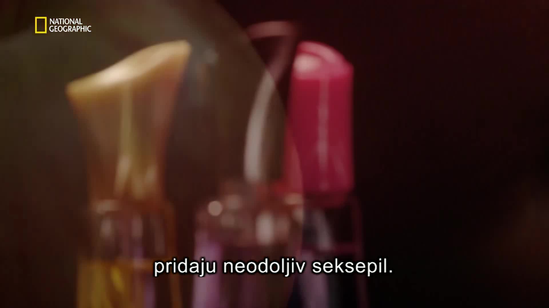 Premium10