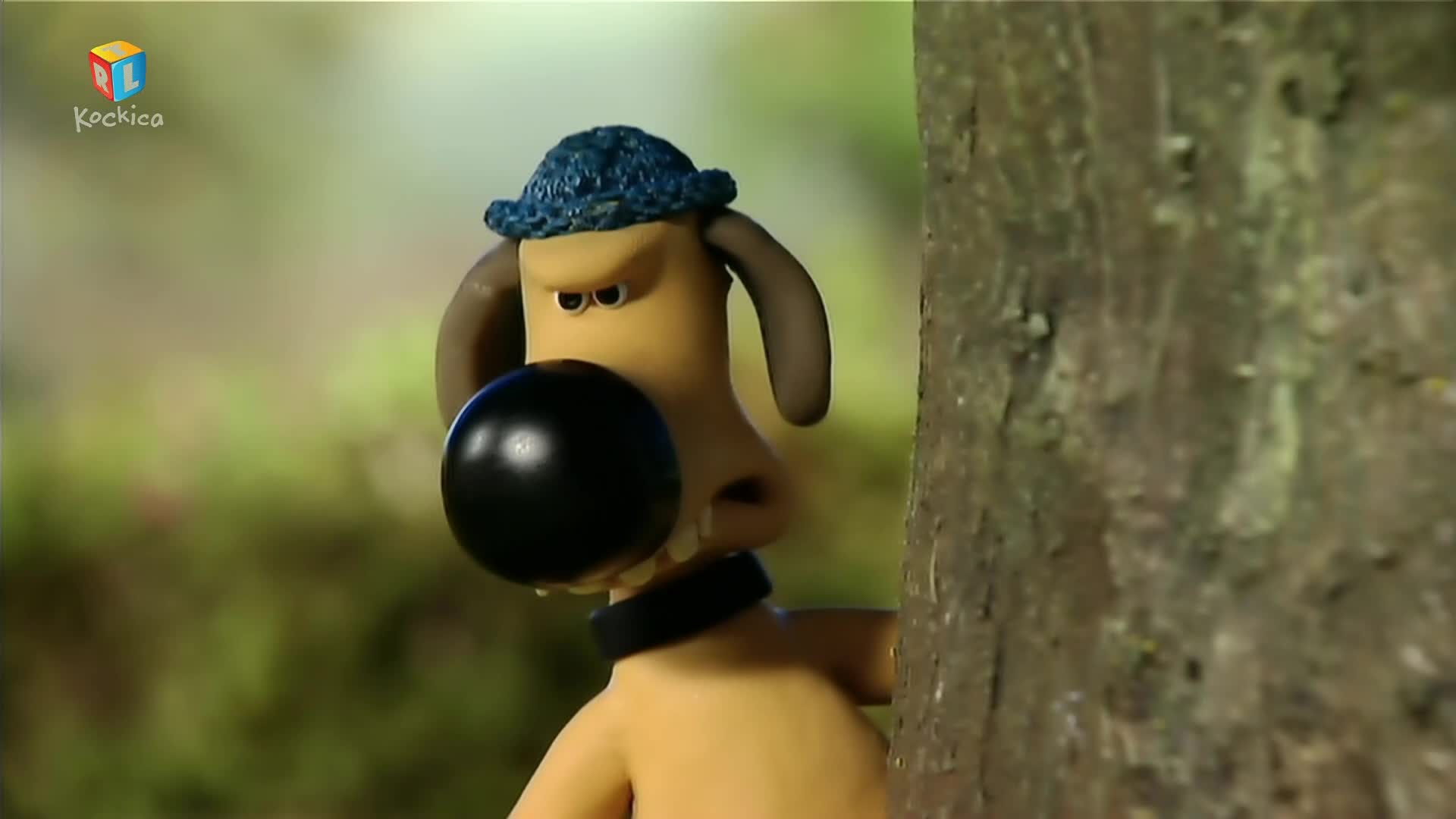 RTLKockica