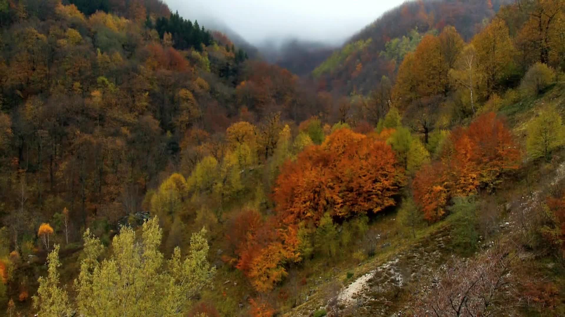 DokuTV