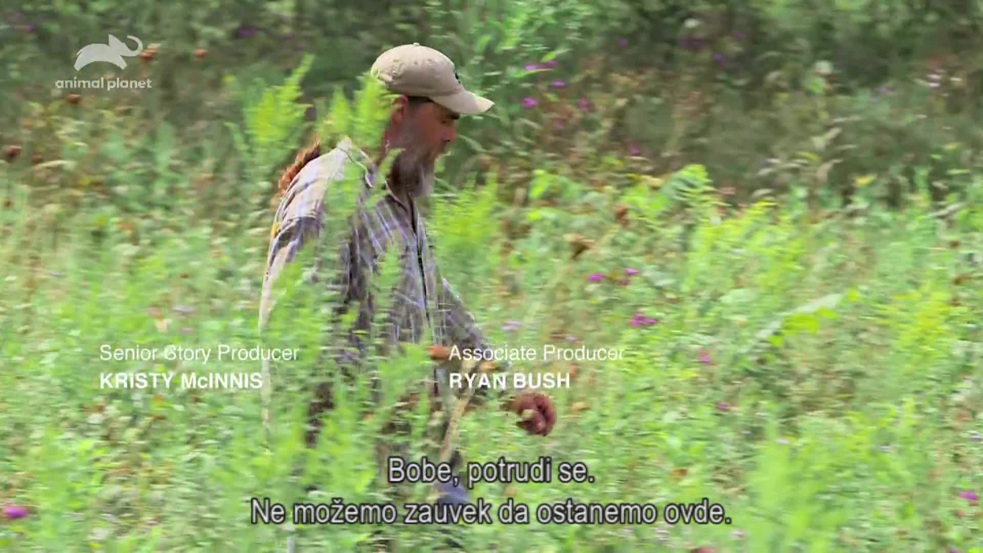 AnimalPlanet