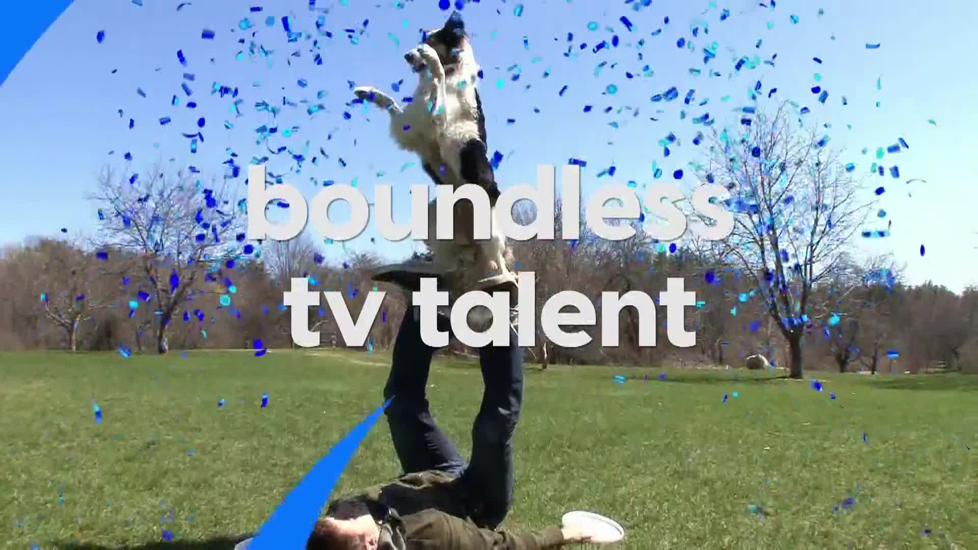 AnimalPlanet