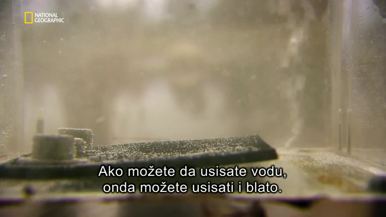Premium10