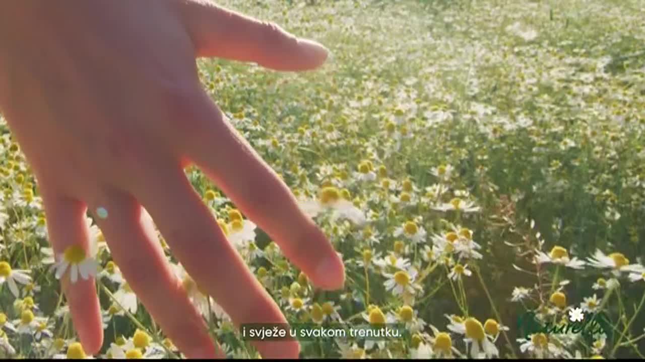 FTV