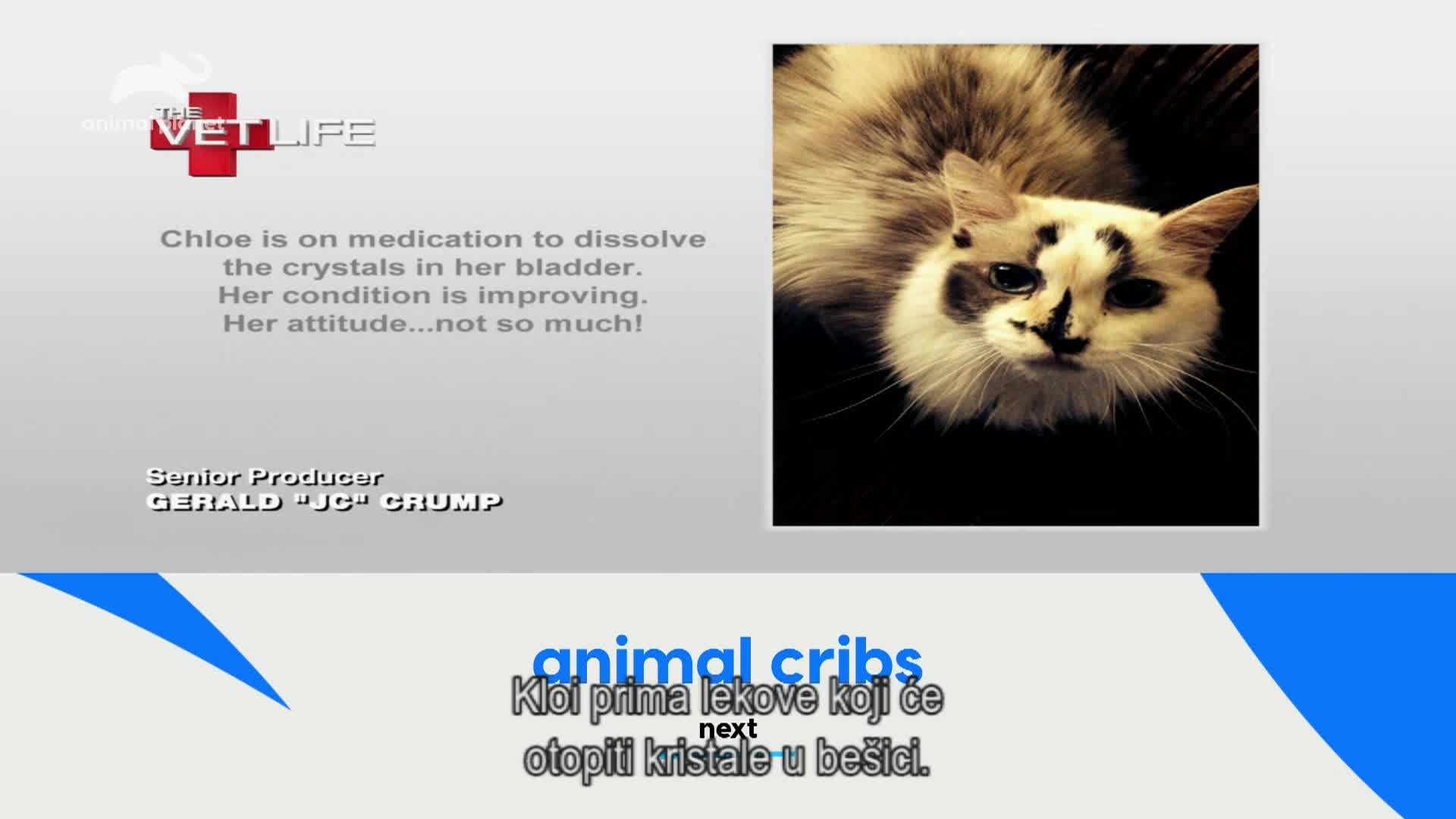 AnimalPlanet