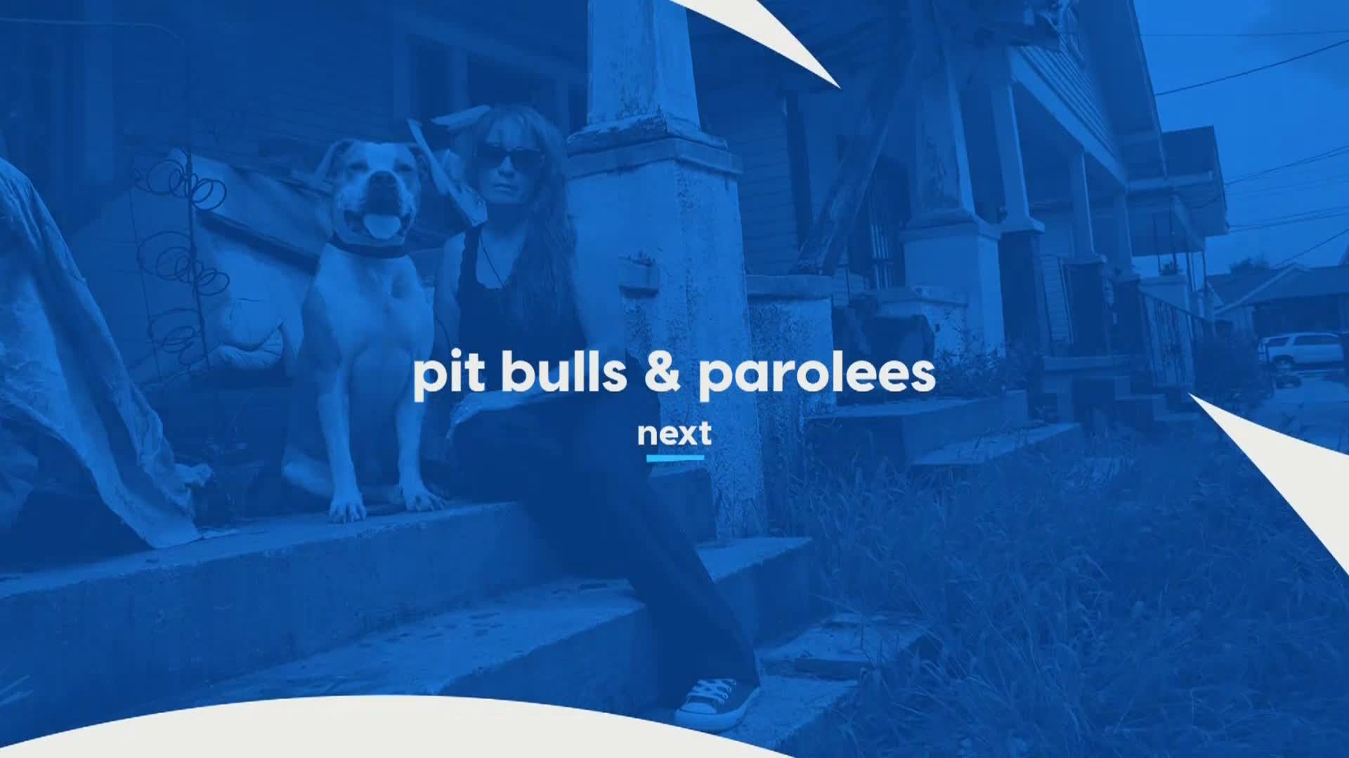AnimalPlanet