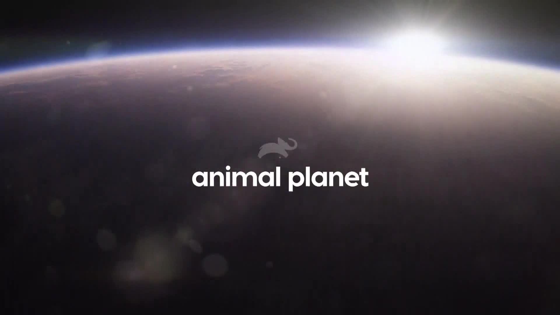 AnimalPlanet