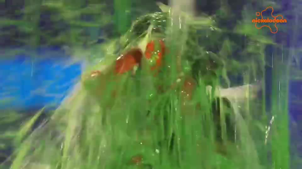 Nickelodeon