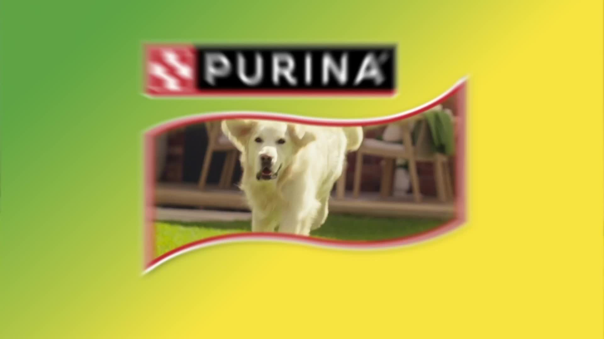 Premium16