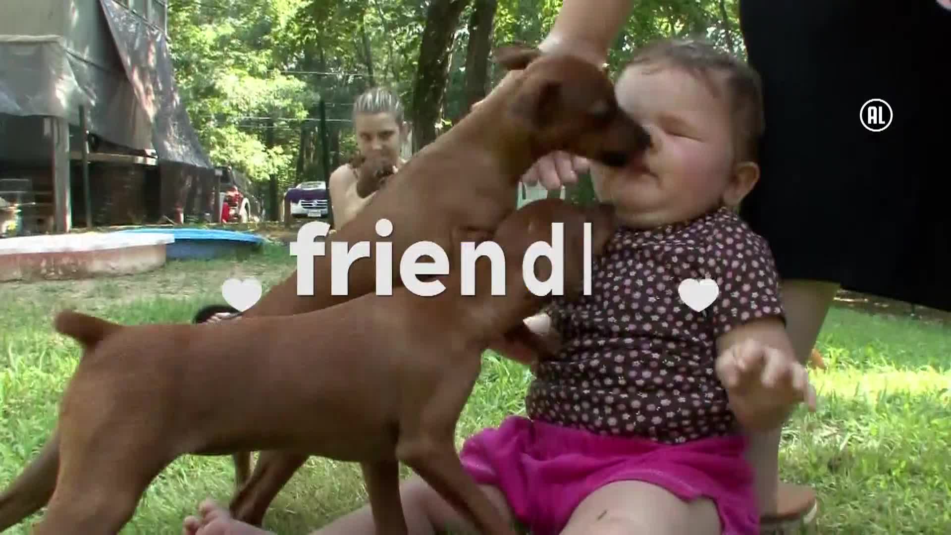 AnimalPlanet