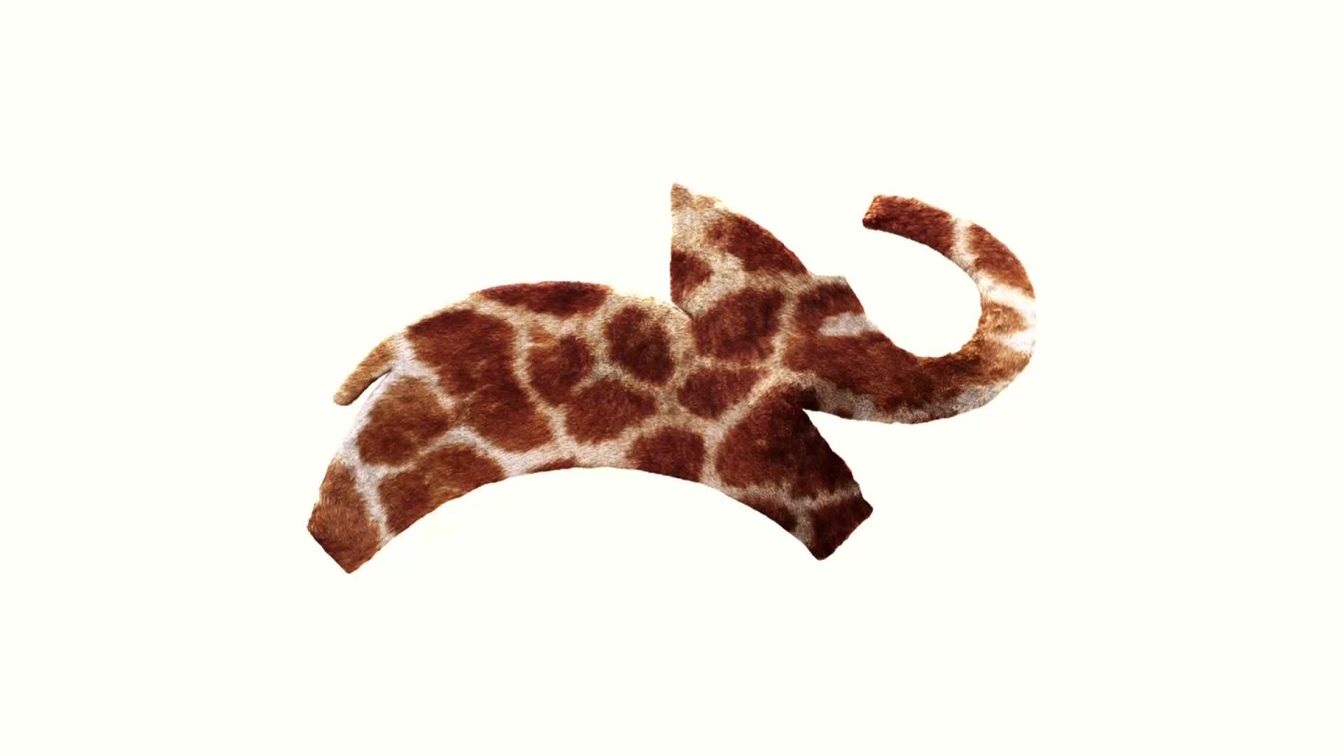 AnimalPlanet