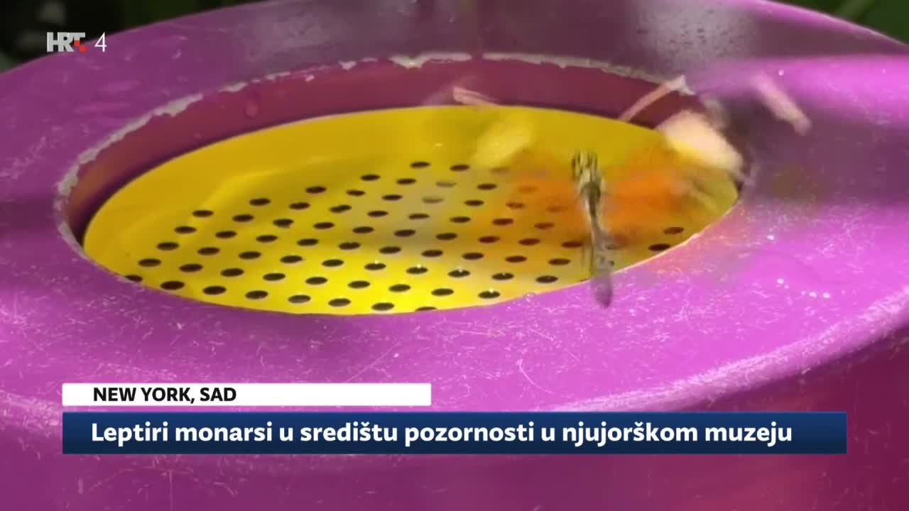 HRT4