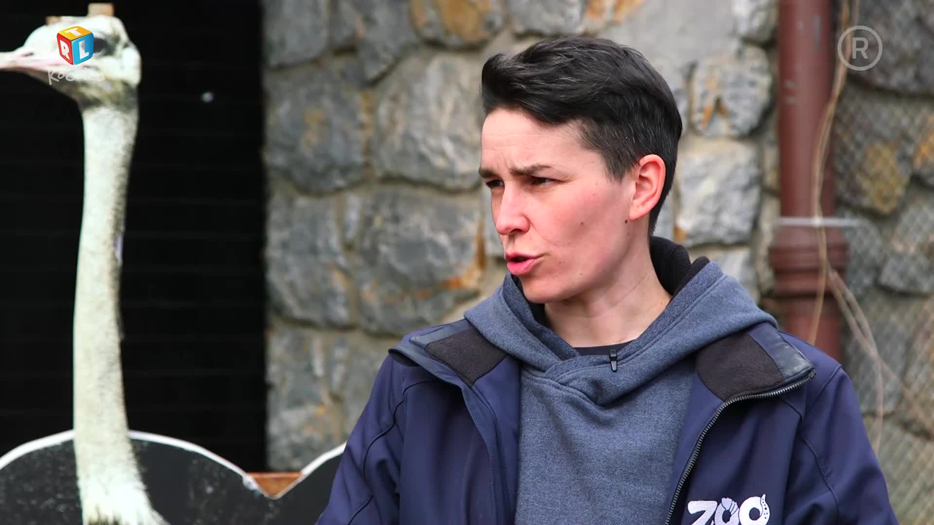 RTLKockica