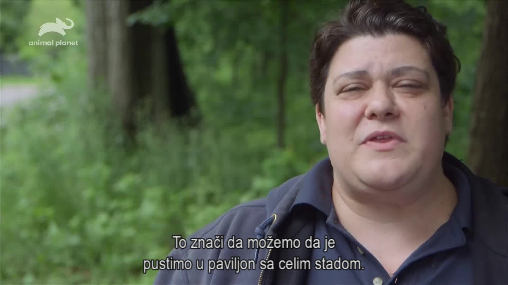 AnimalPlanet