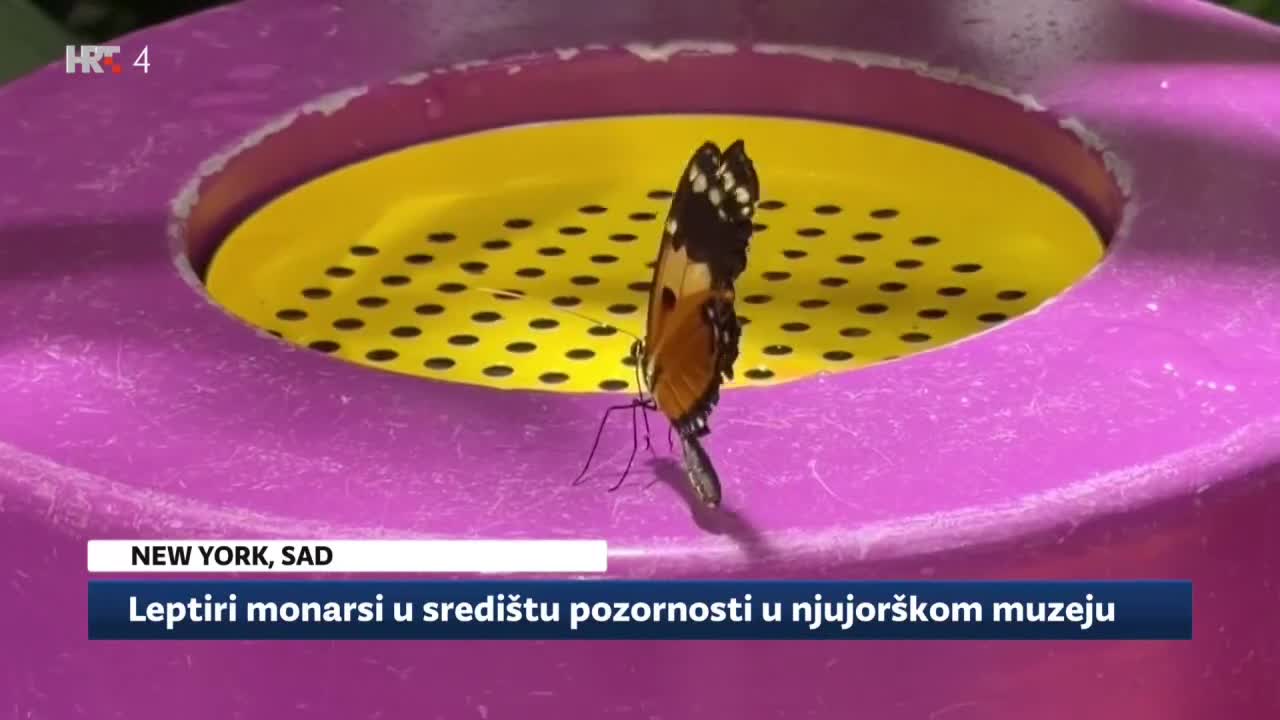 HRT4