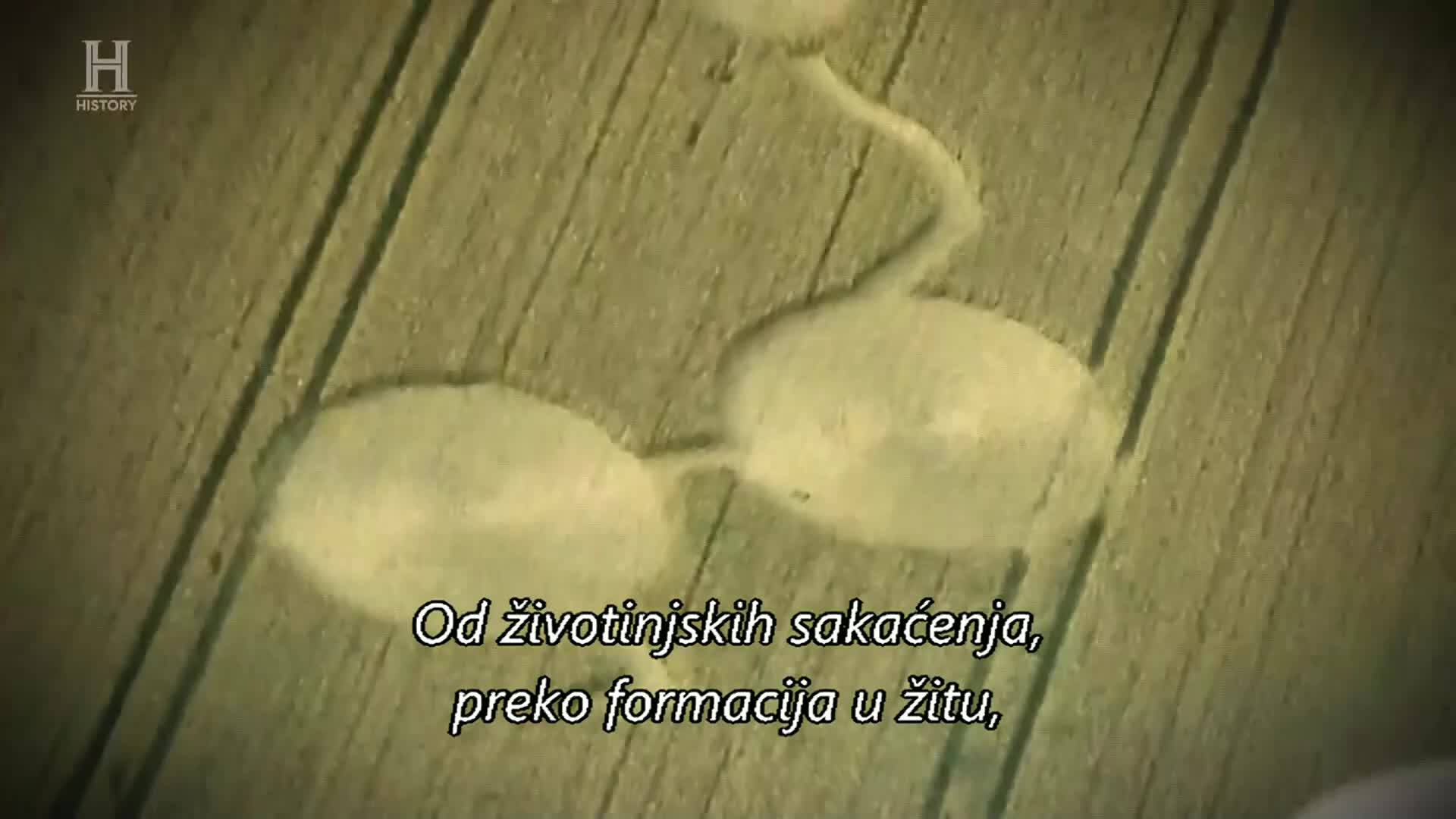 History