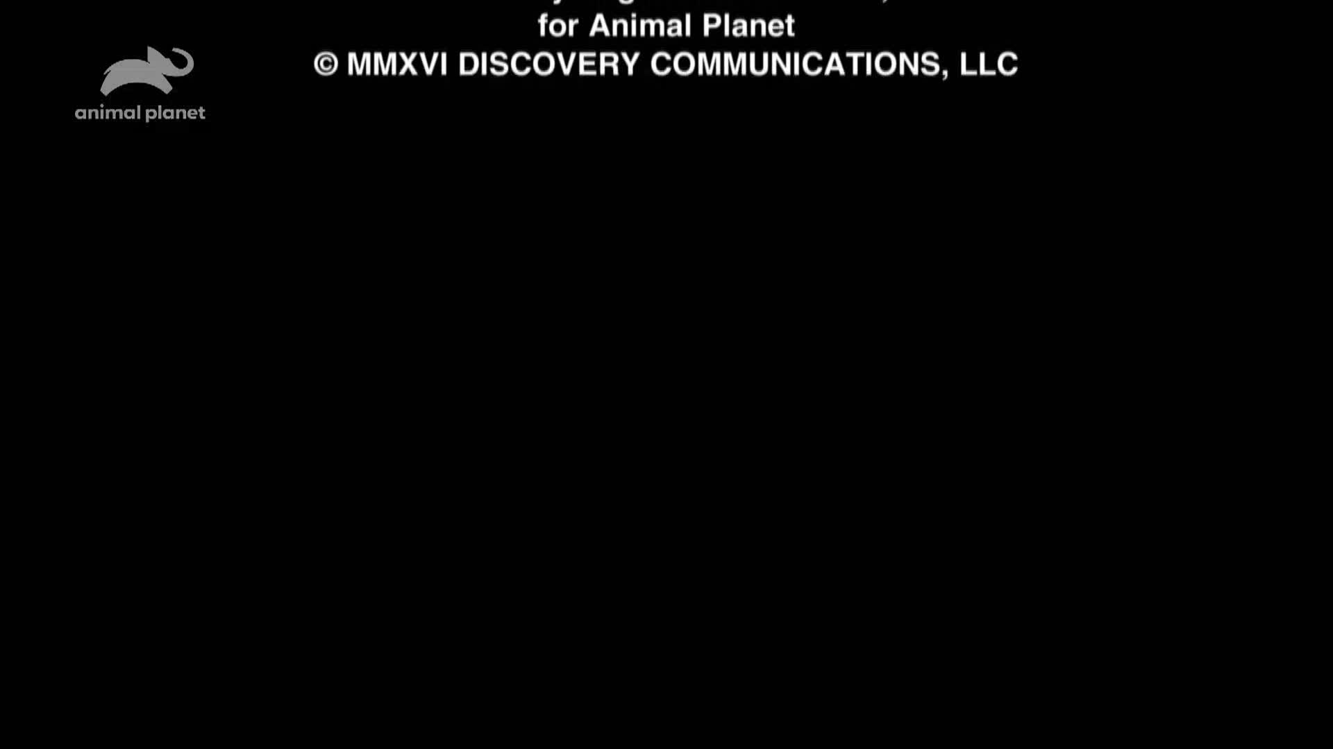 AnimalPlanet
