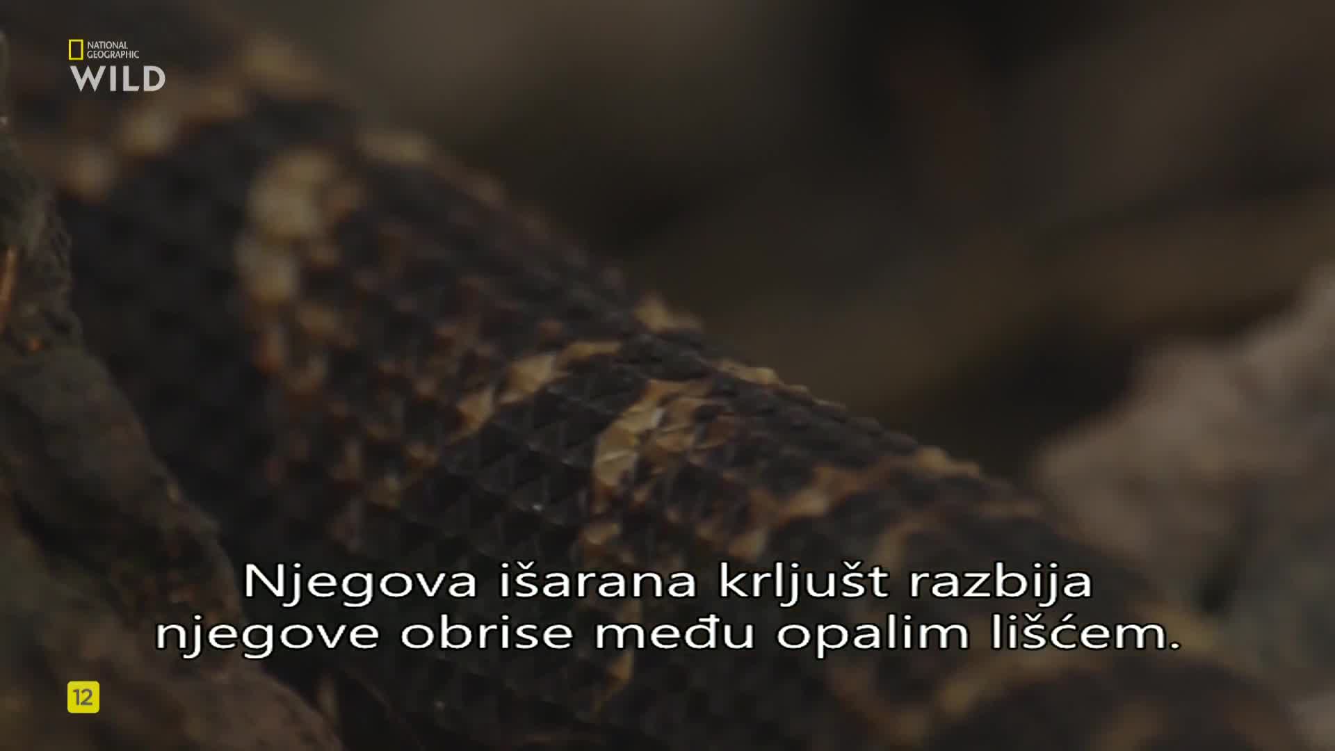 Premium9