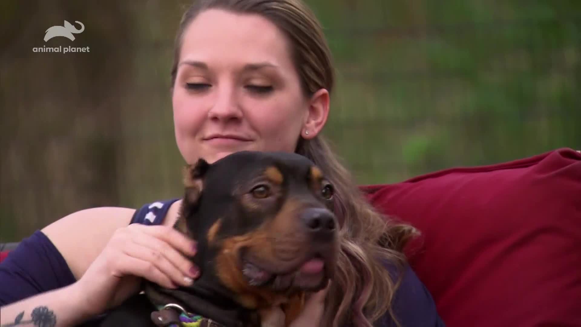 AnimalPlanet