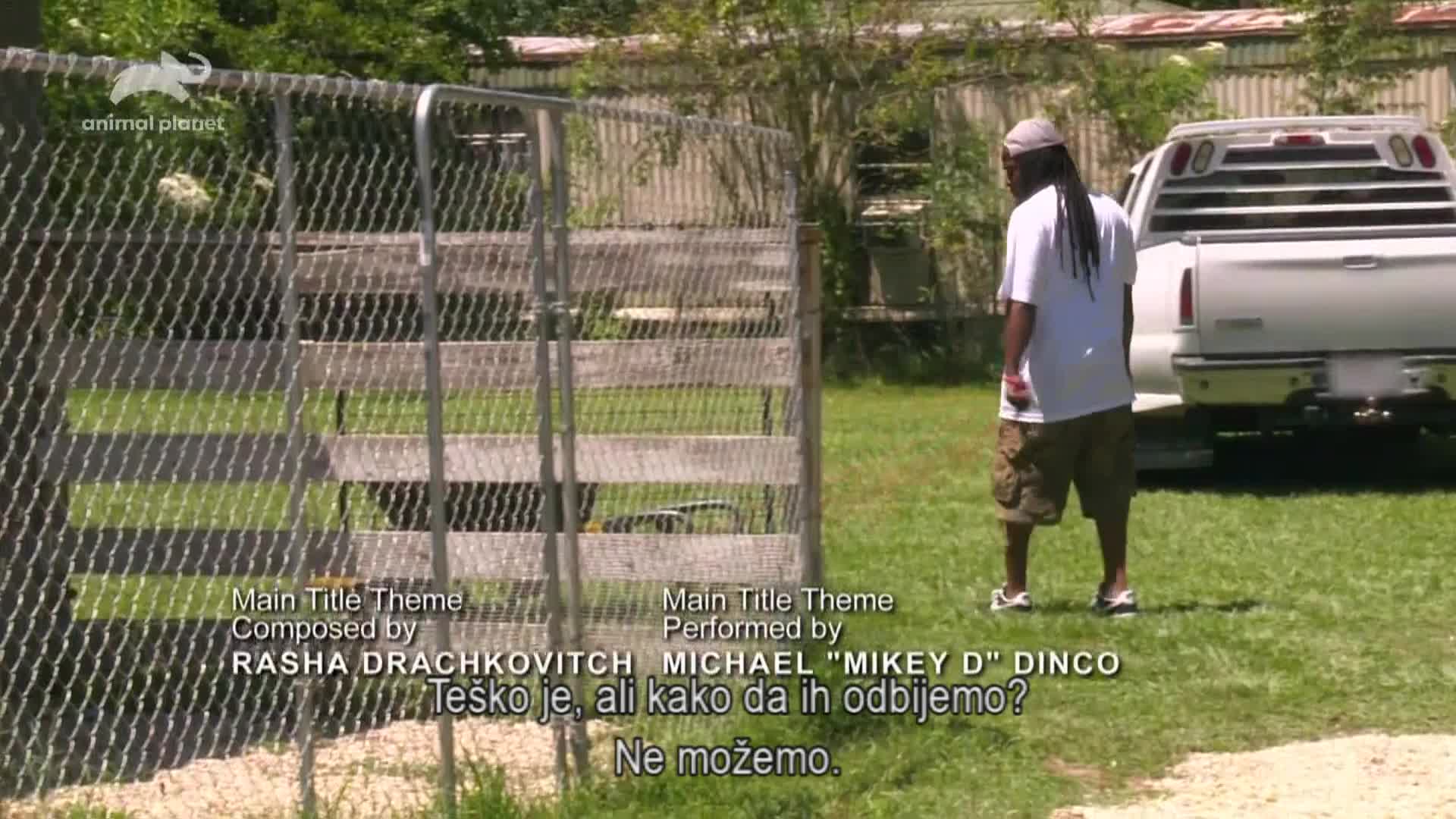 AnimalPlanet