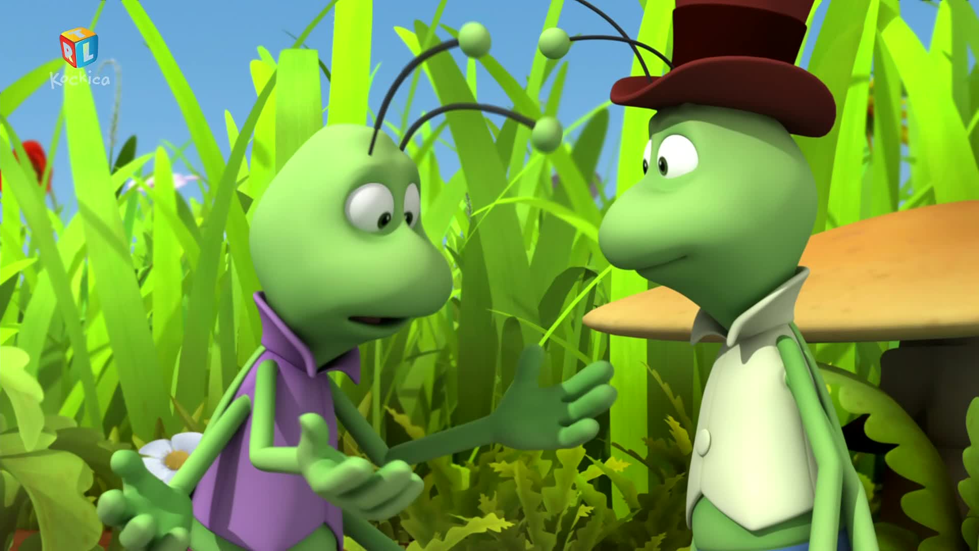 RTLKockica