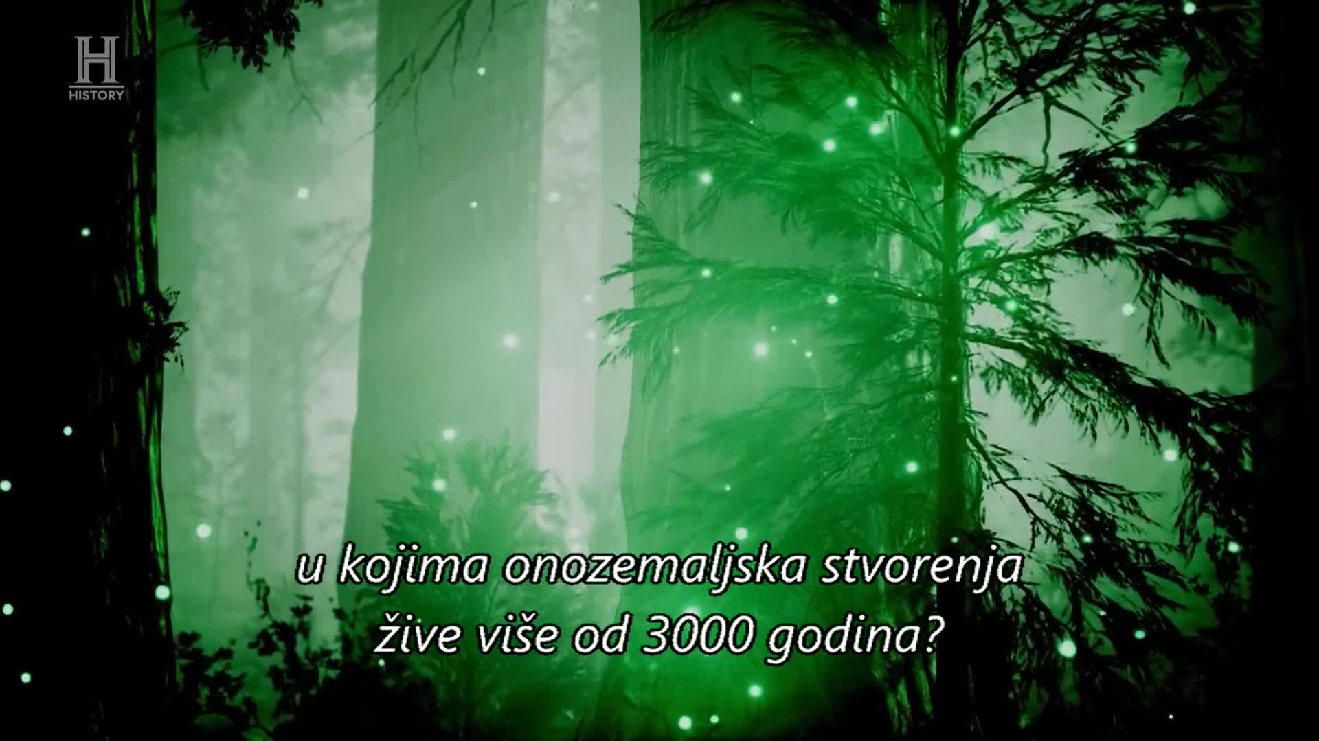 History