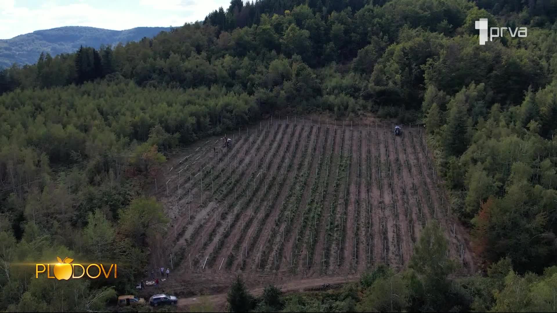 PRVA