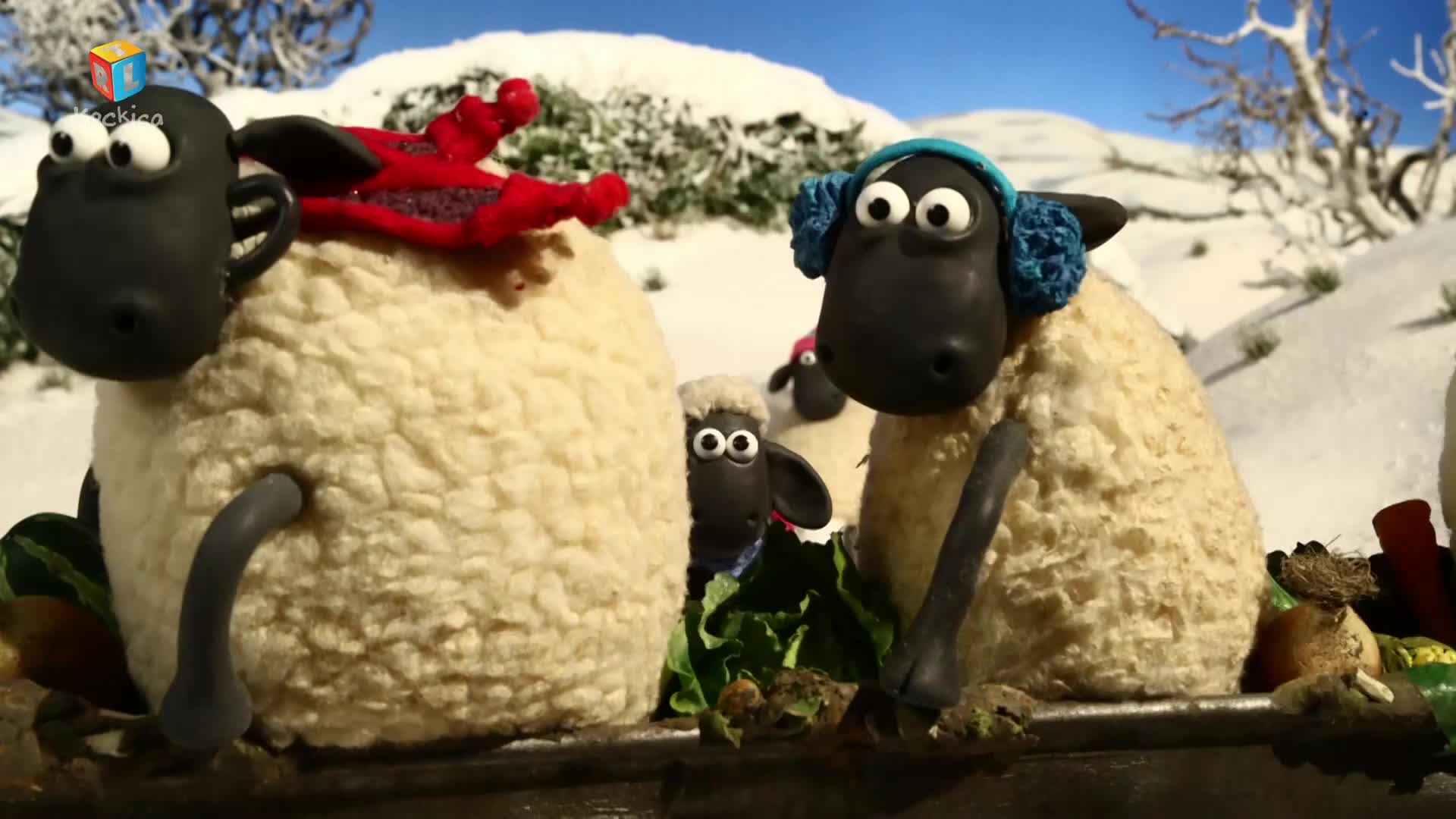 RTLKockica