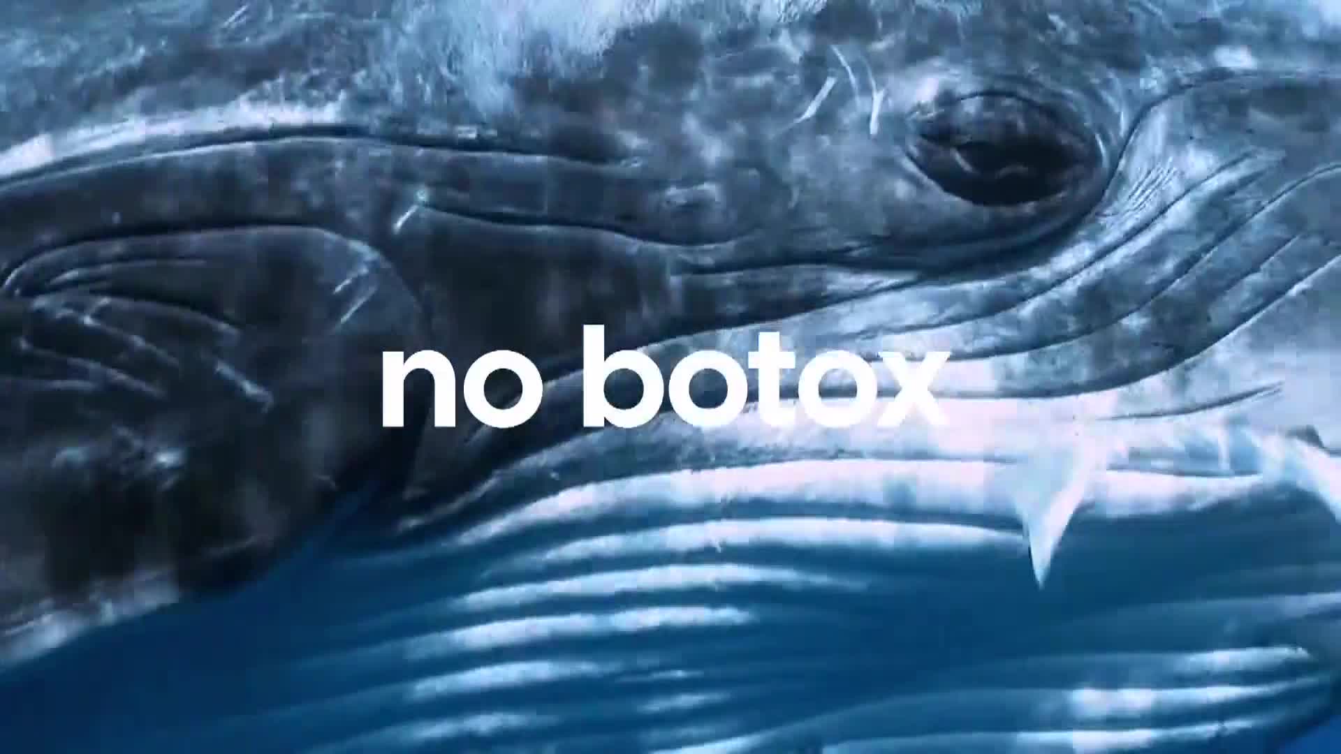 AnimalPlanet