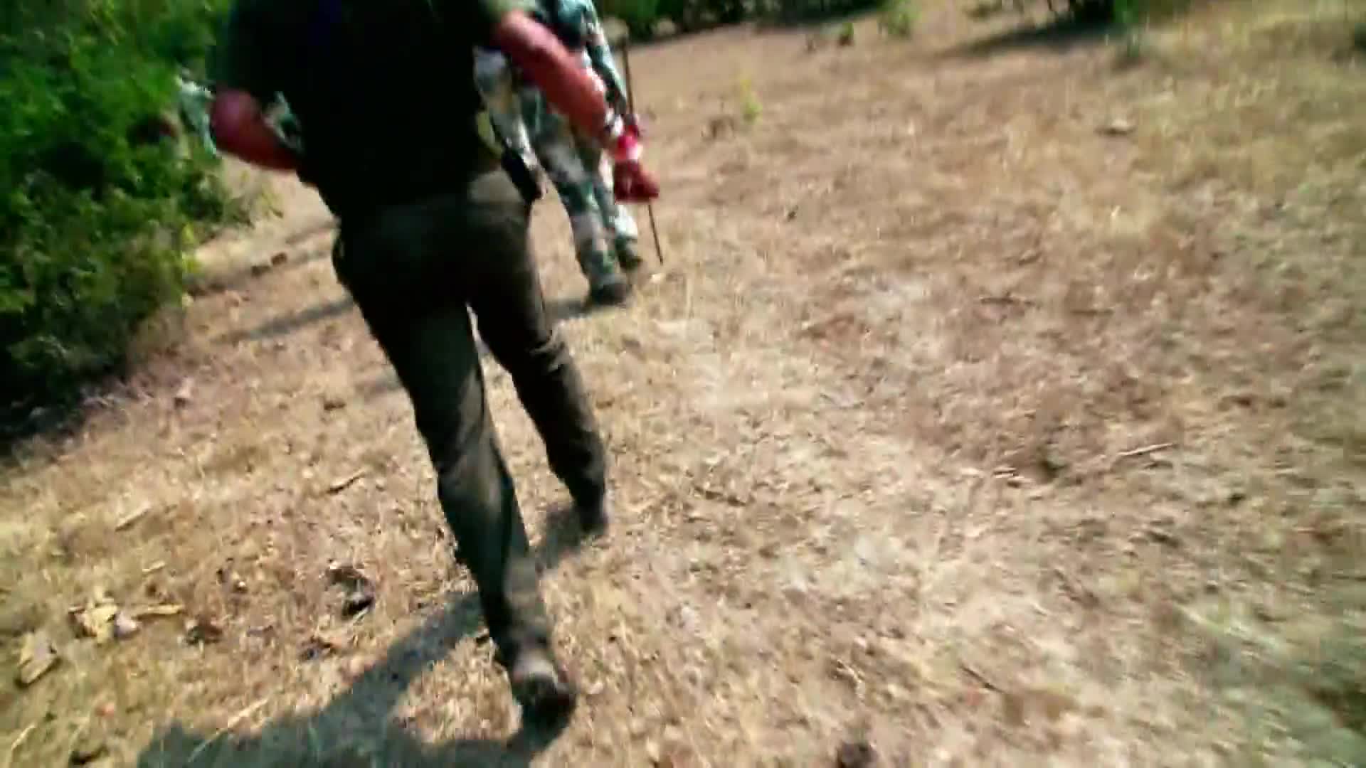 AnimalPlanet