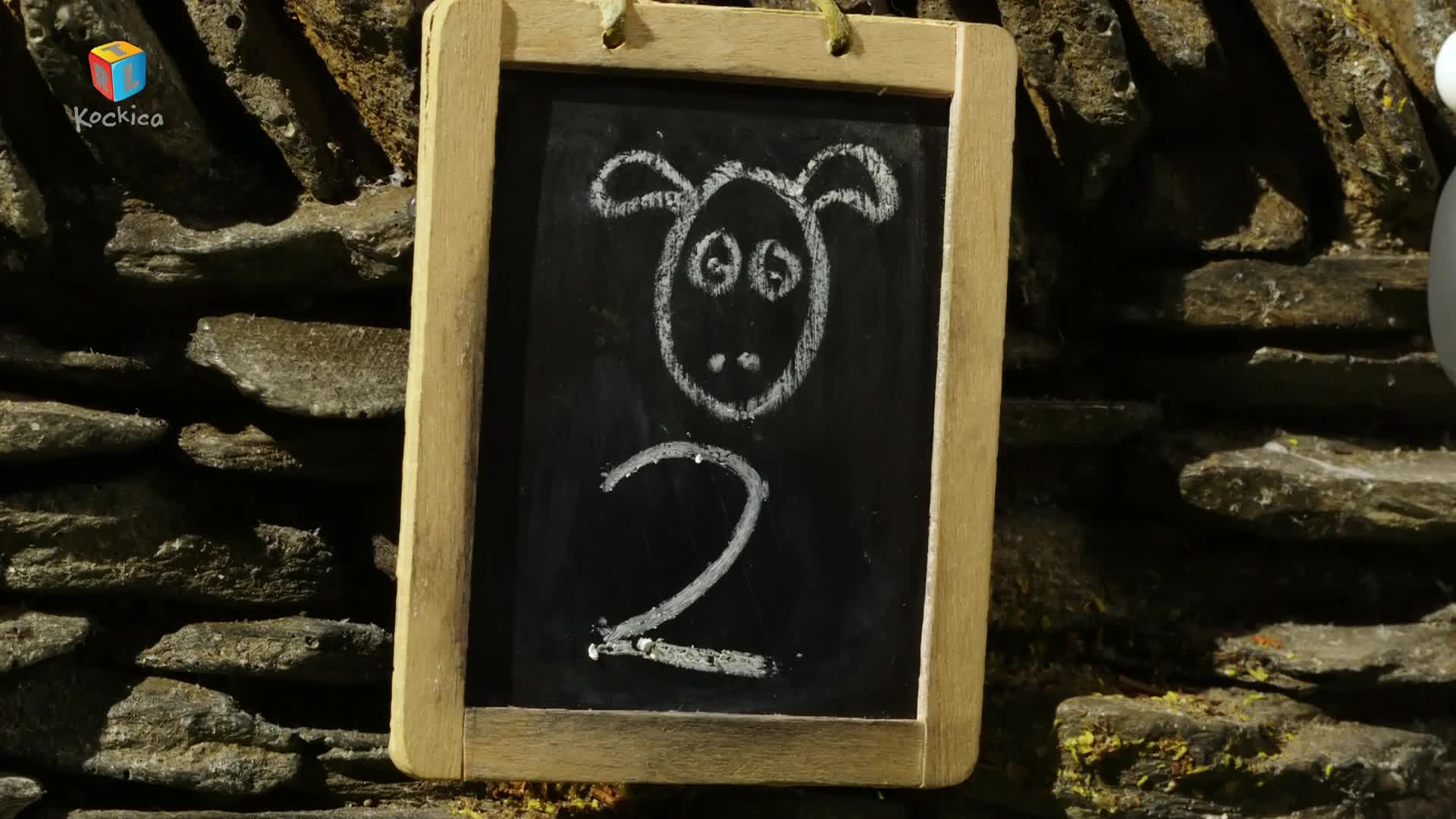 RTLKockica