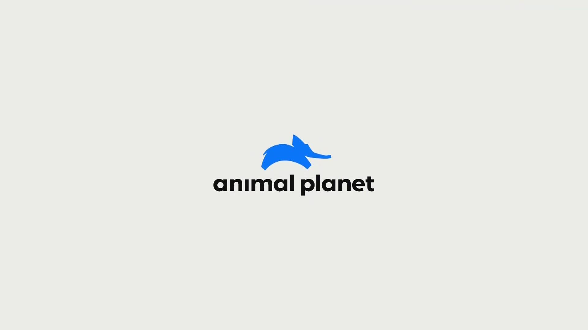 AnimalPlanet