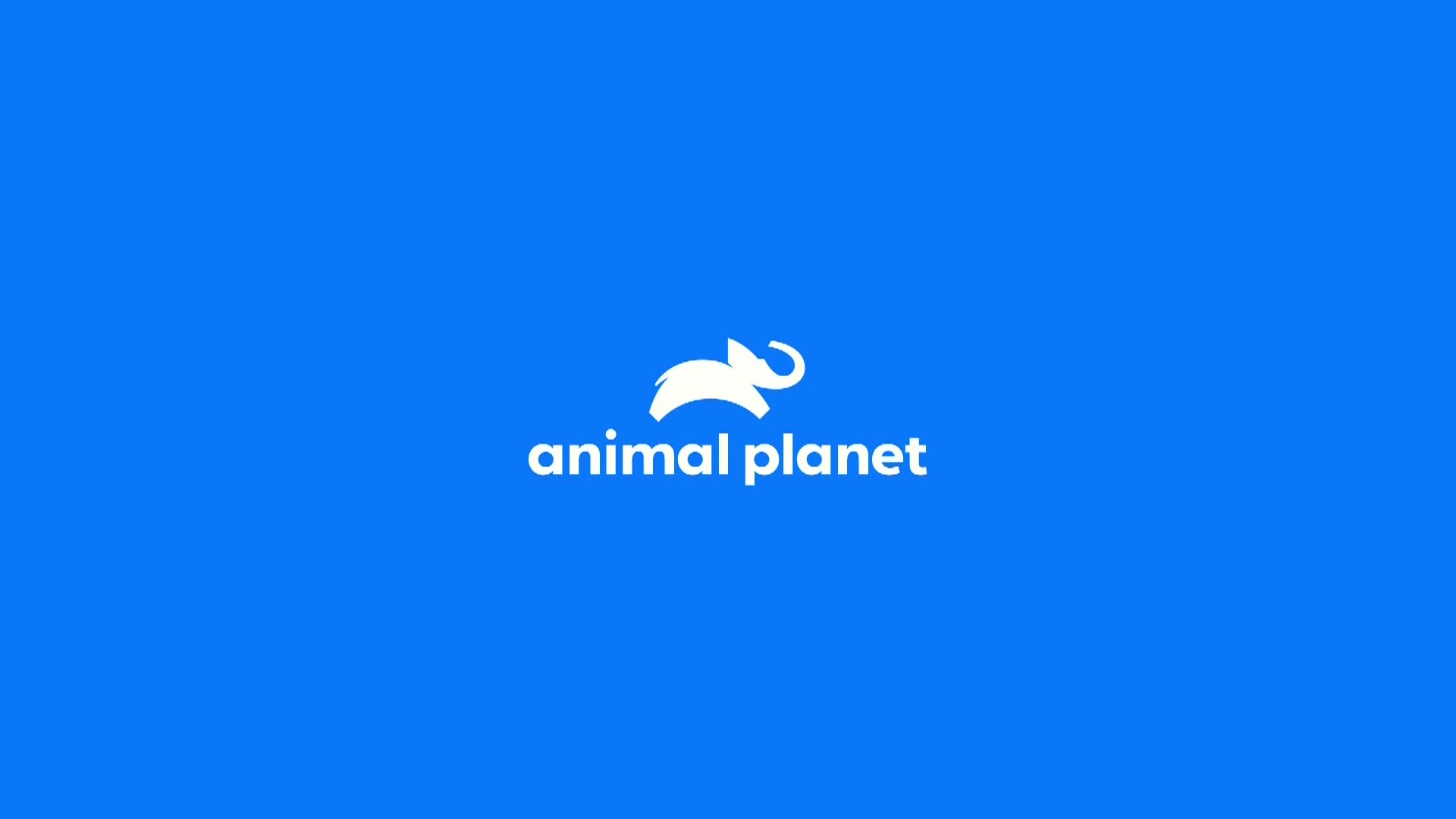 AnimalPlanet
