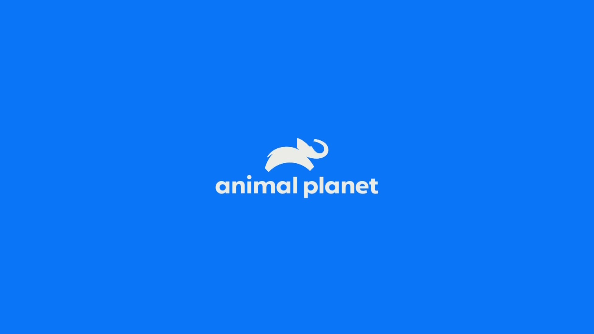 AnimalPlanet