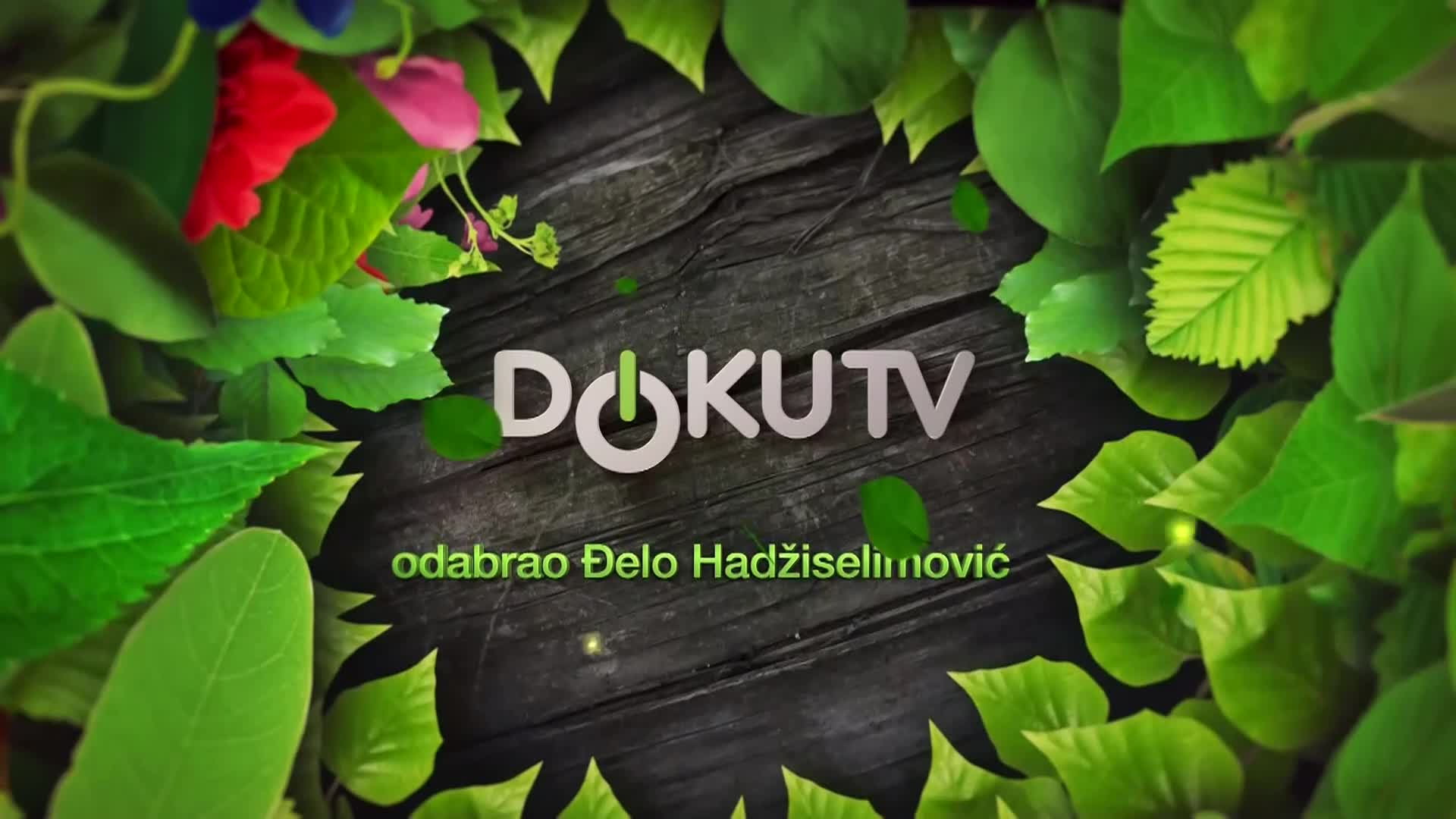 DokuTV