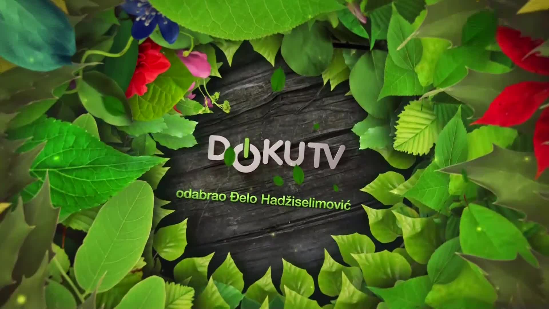 DokuTV