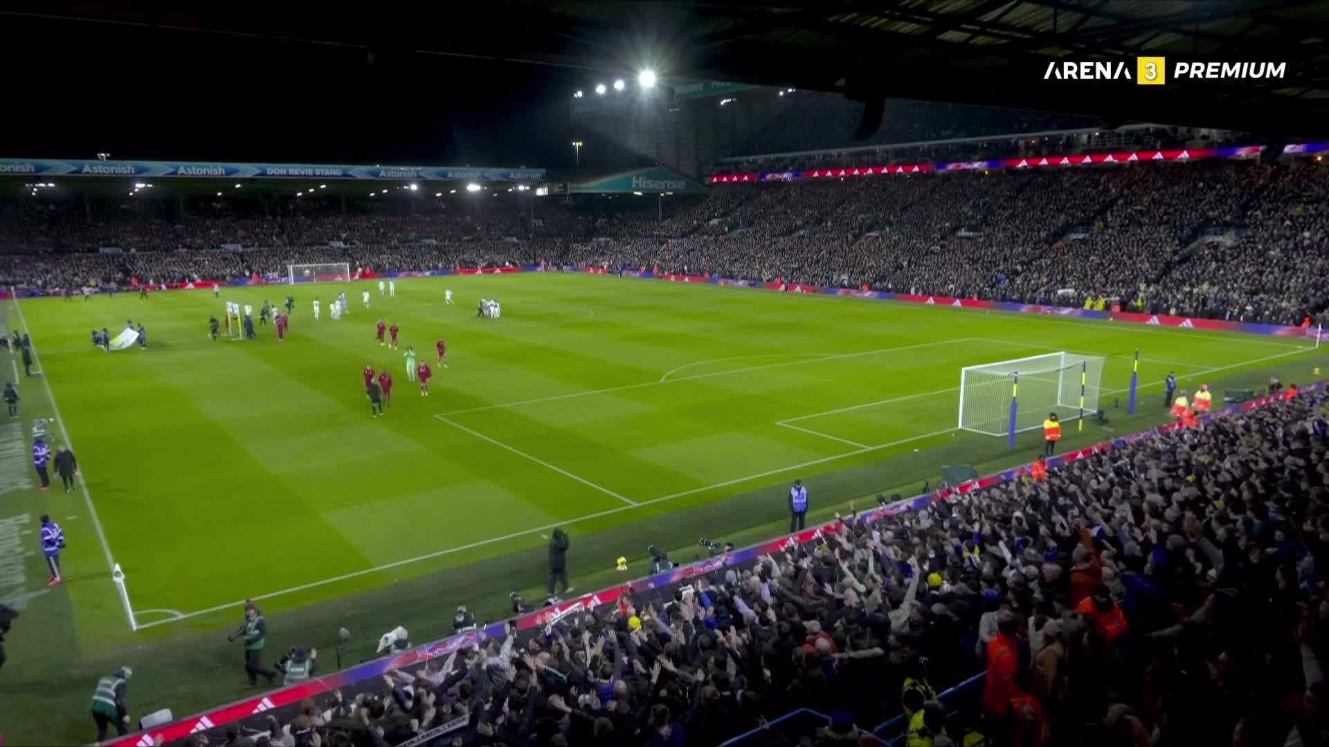 ArenaPremium3