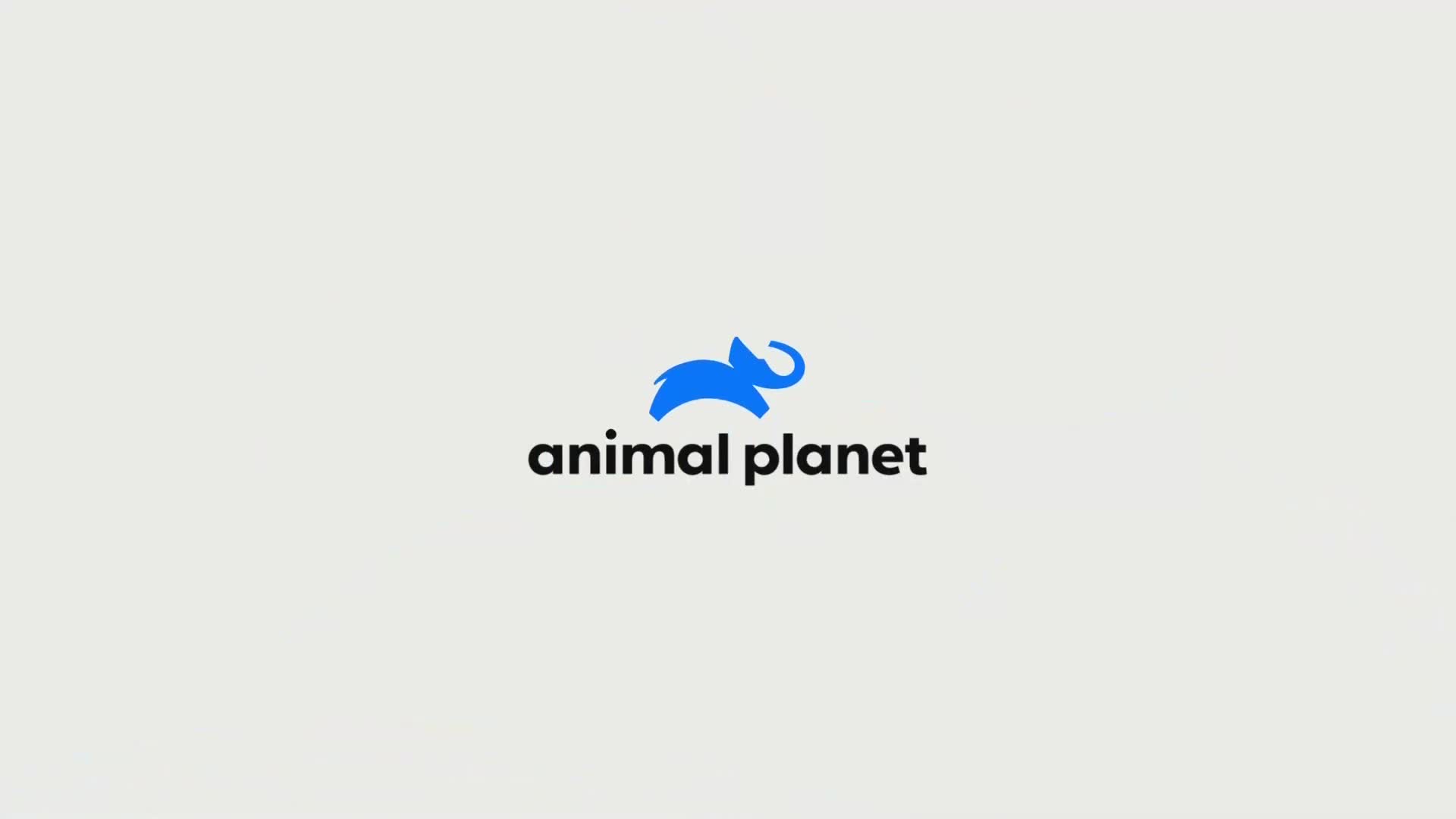 AnimalPlanet