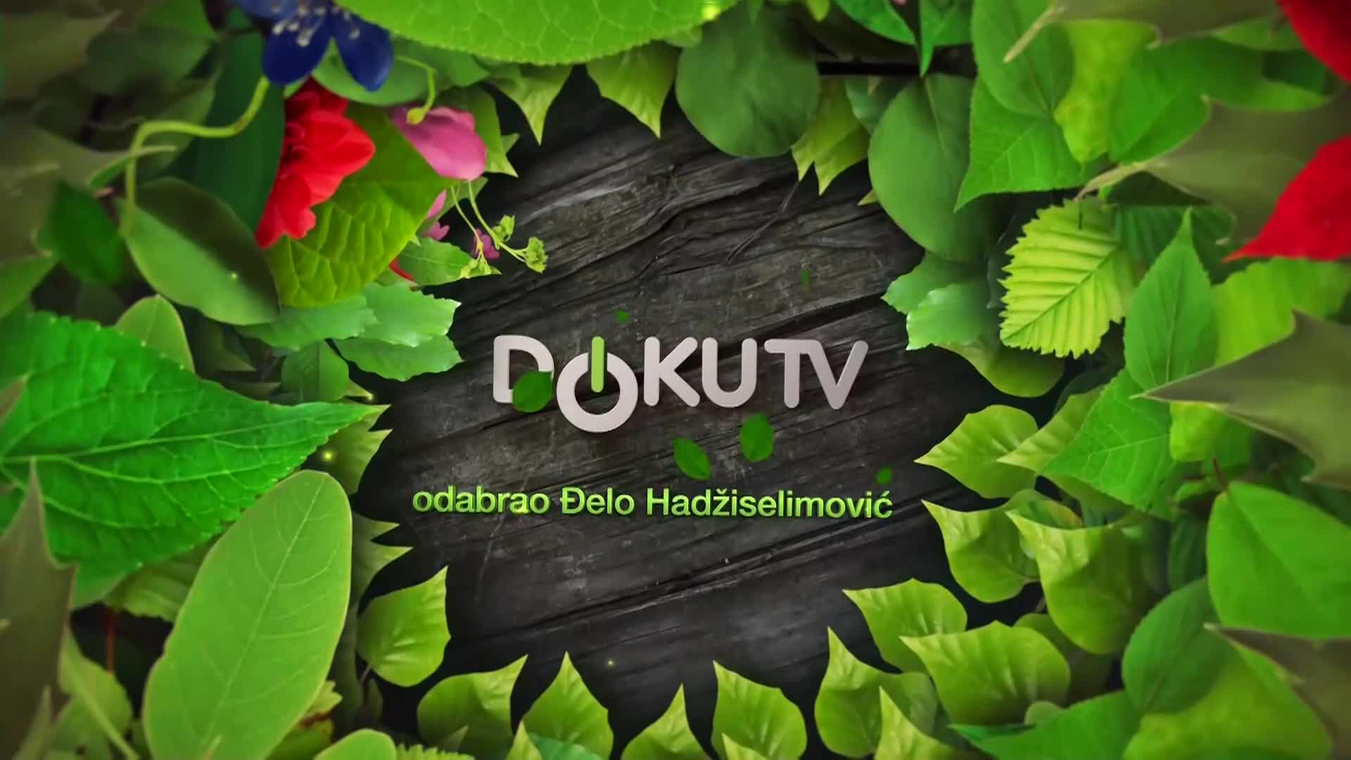 DokuTV
