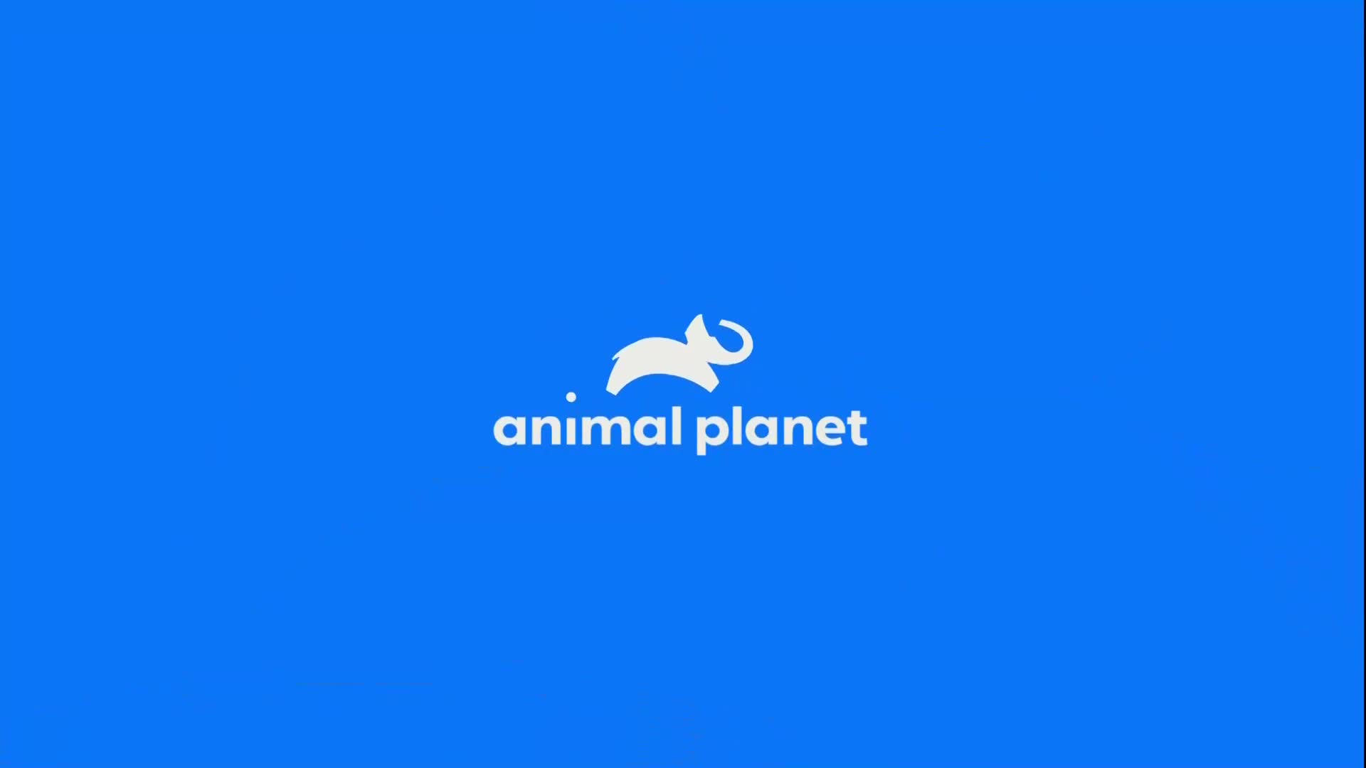 AnimalPlanet