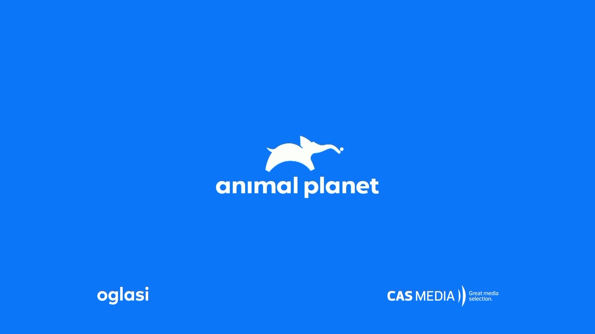 AnimalPlanet