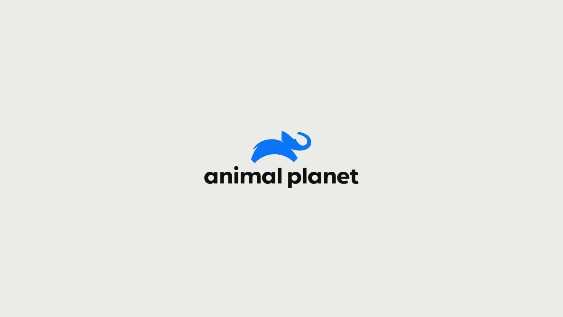 AnimalPlanet