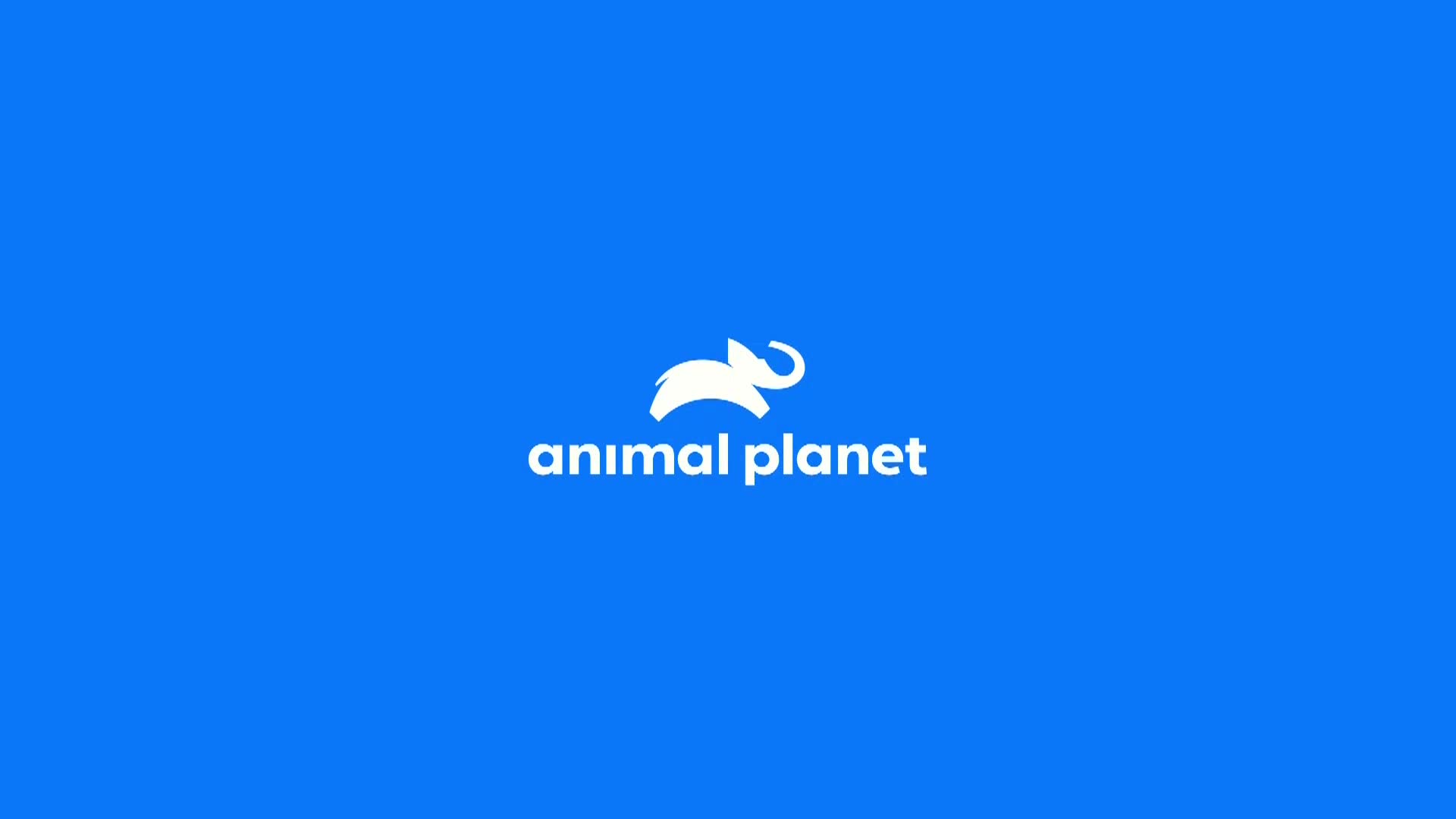 AnimalPlanet
