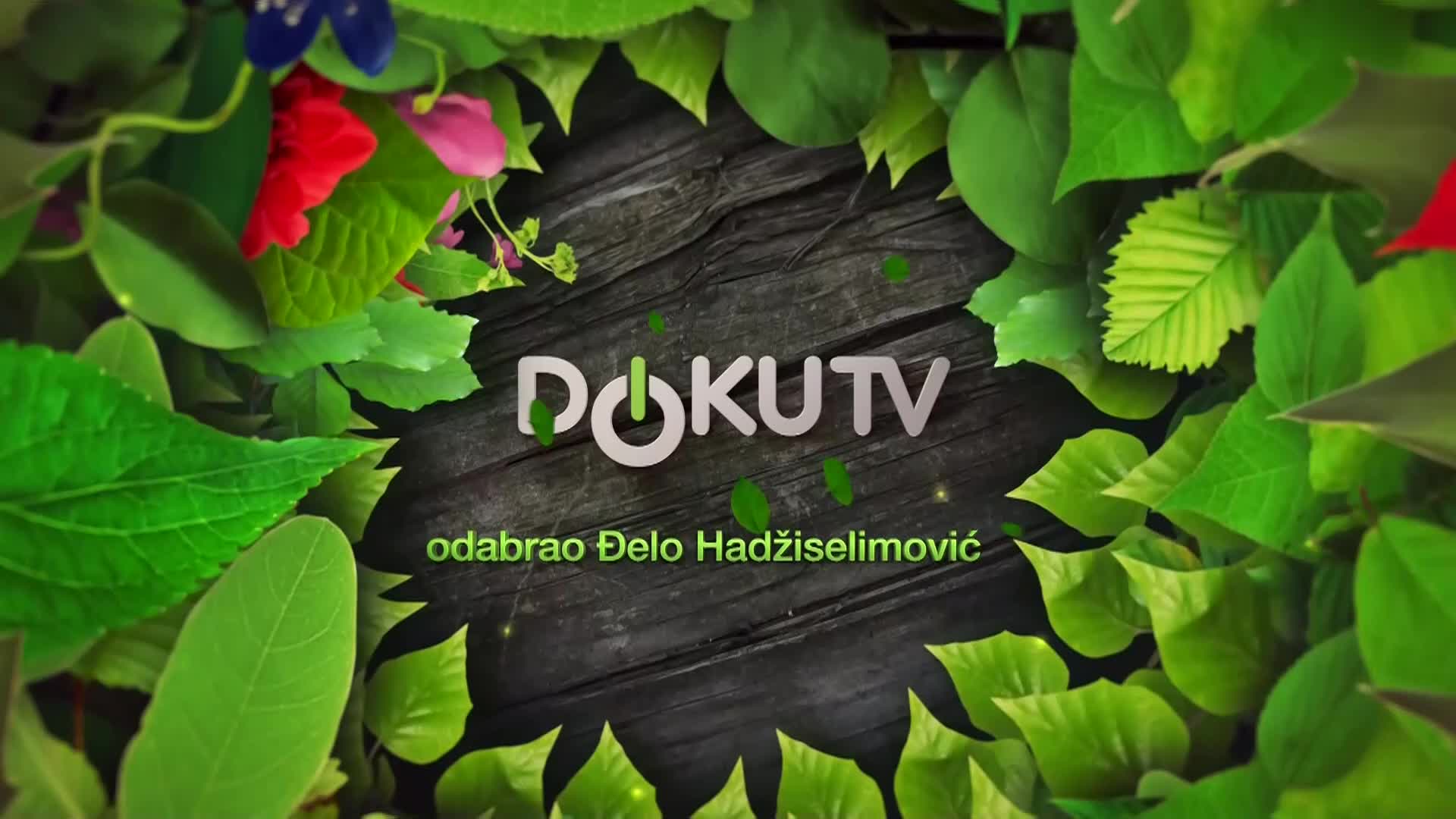 DokuTV
