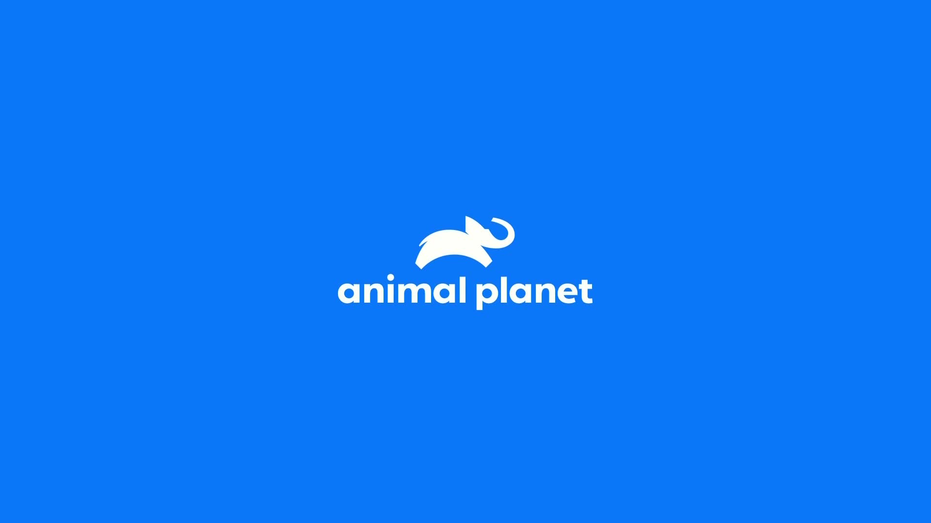 AnimalPlanet